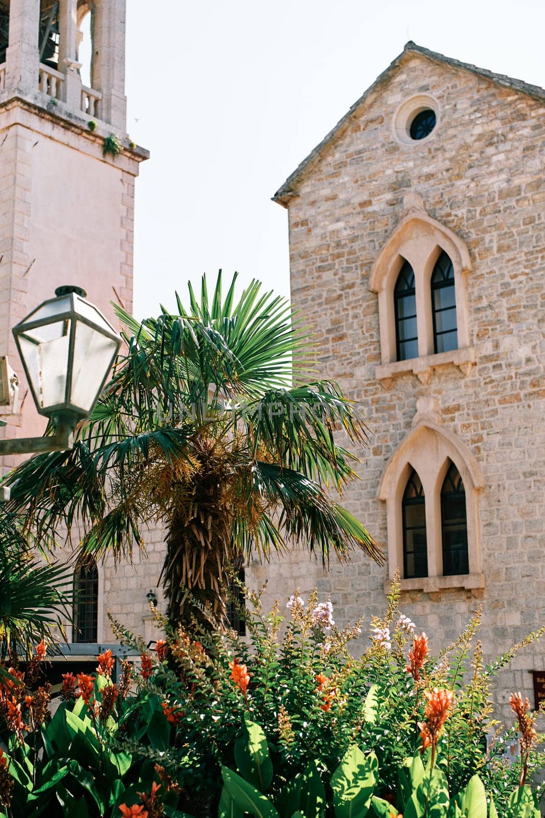 Green palm tree and a flowering bush grow in the courtyard of an old stone church. High quality photo