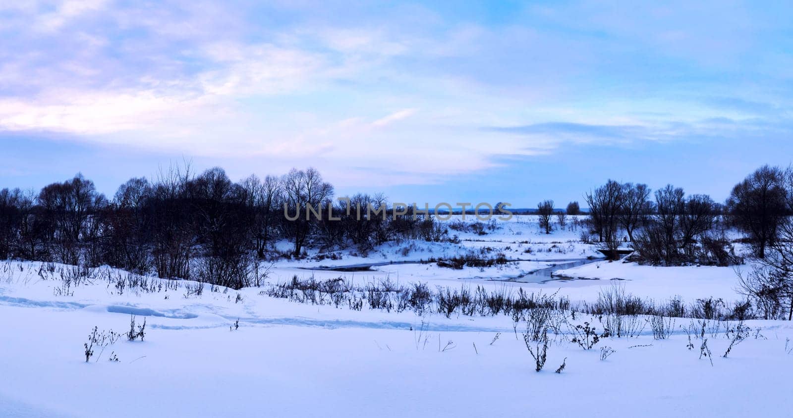 Panorama of winter landscape with snow and trees in the evening