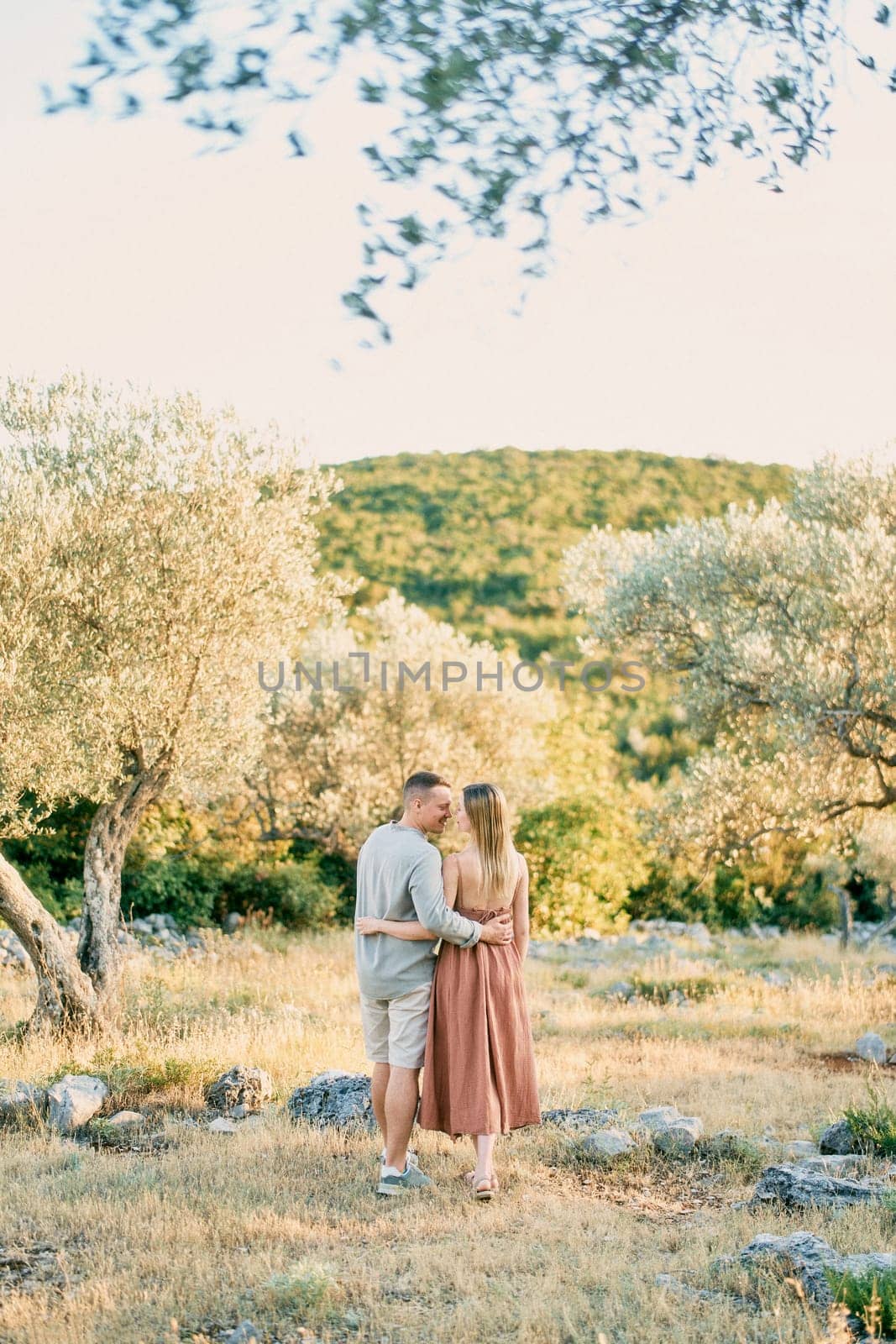 Man and woman walk through the grove hugging and almost kissing. Back view. High quality photo