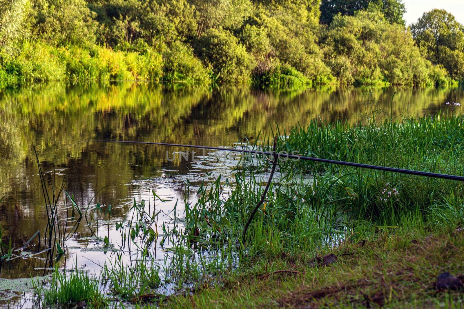 River bank with abundant greenery and grass, summer landscape