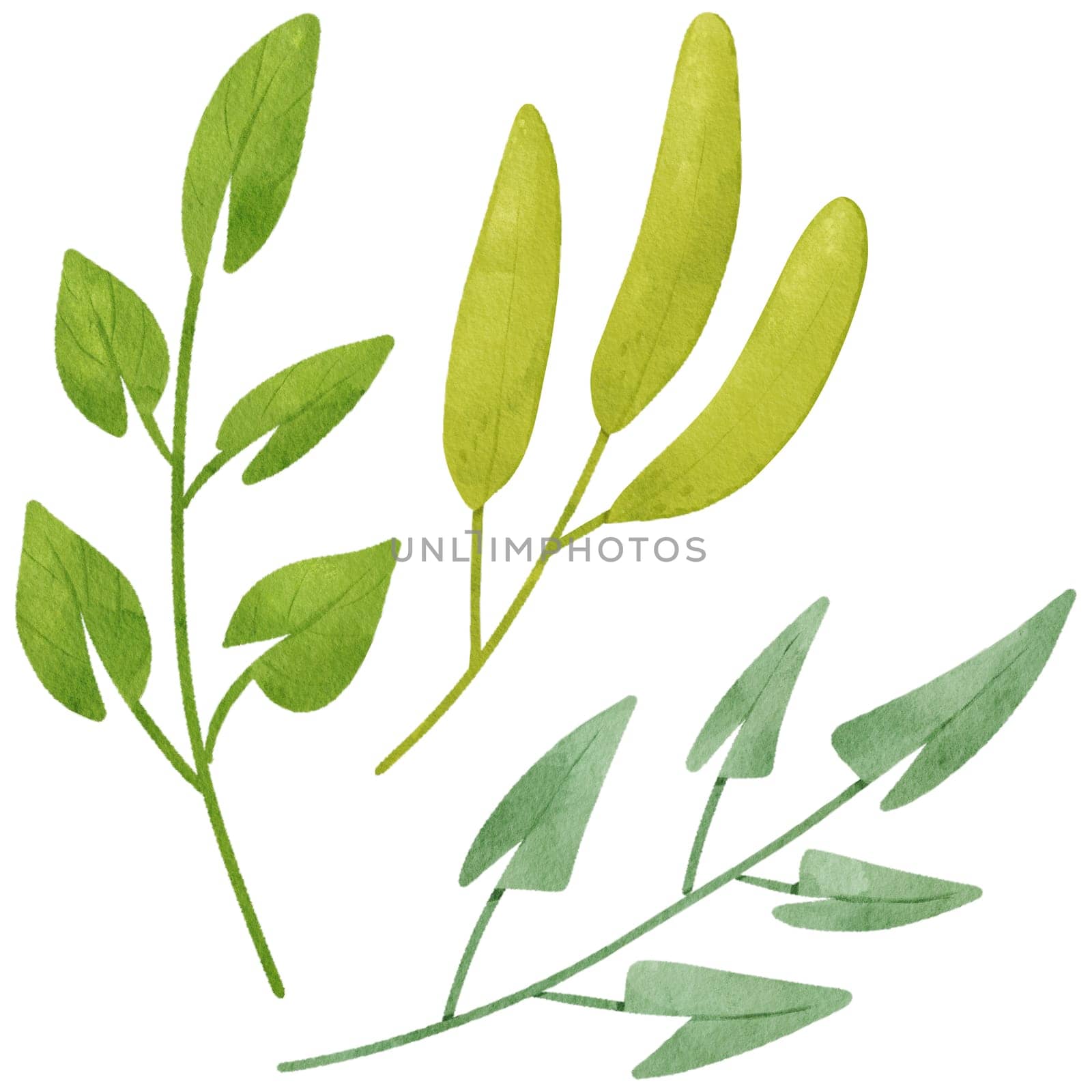 green branches captured in watercolor with a whimsical, cartoon-style touch. illustration is perfect for children's books, greeting cards, and various creative projects.