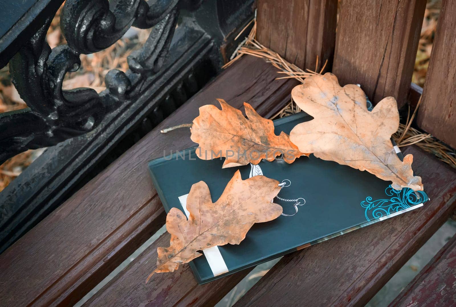 Book and fallen leaves on a Park bench. by georgina198