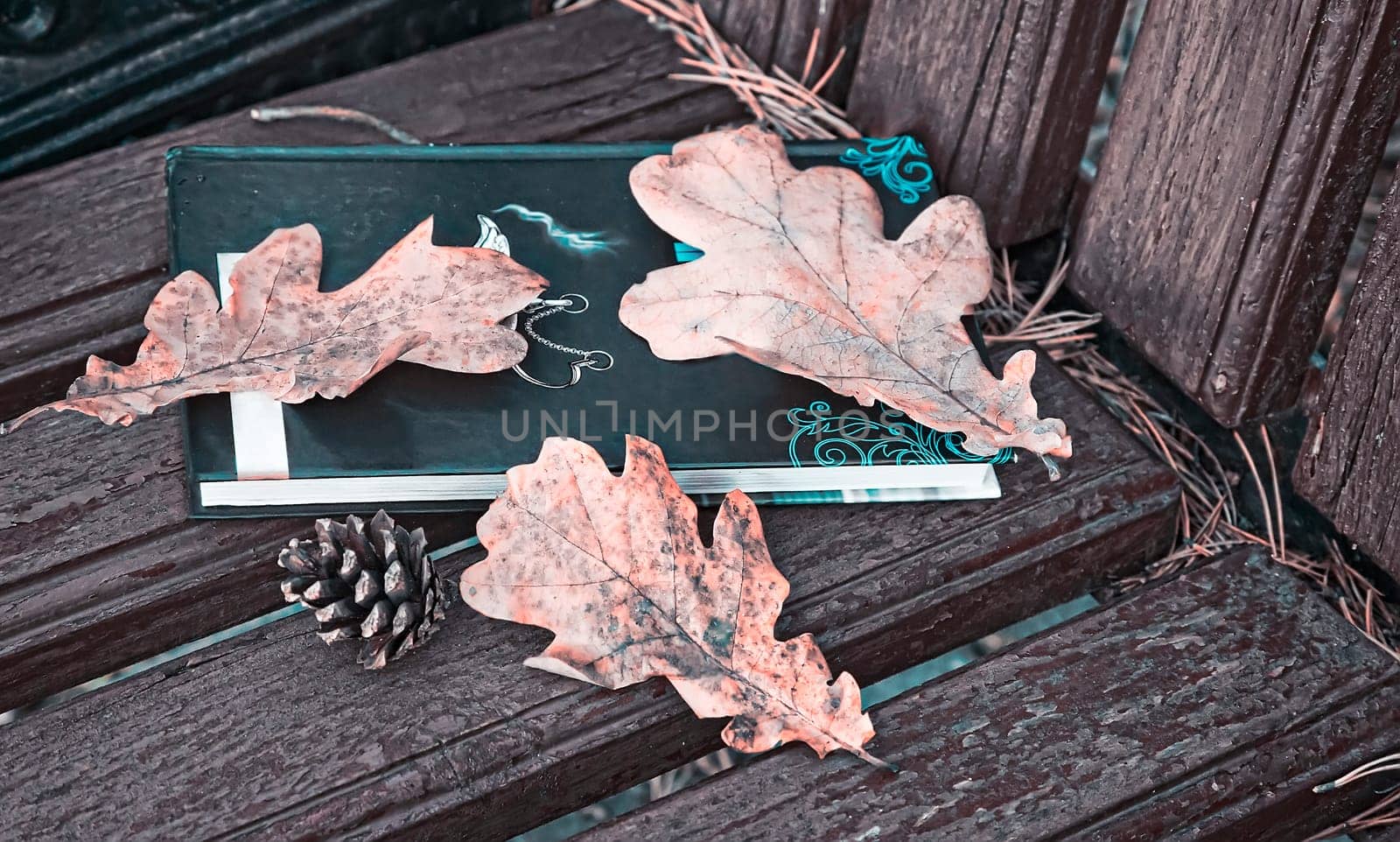 On a wooden bench in the Park book and yellow fallen autumn oak leaves.