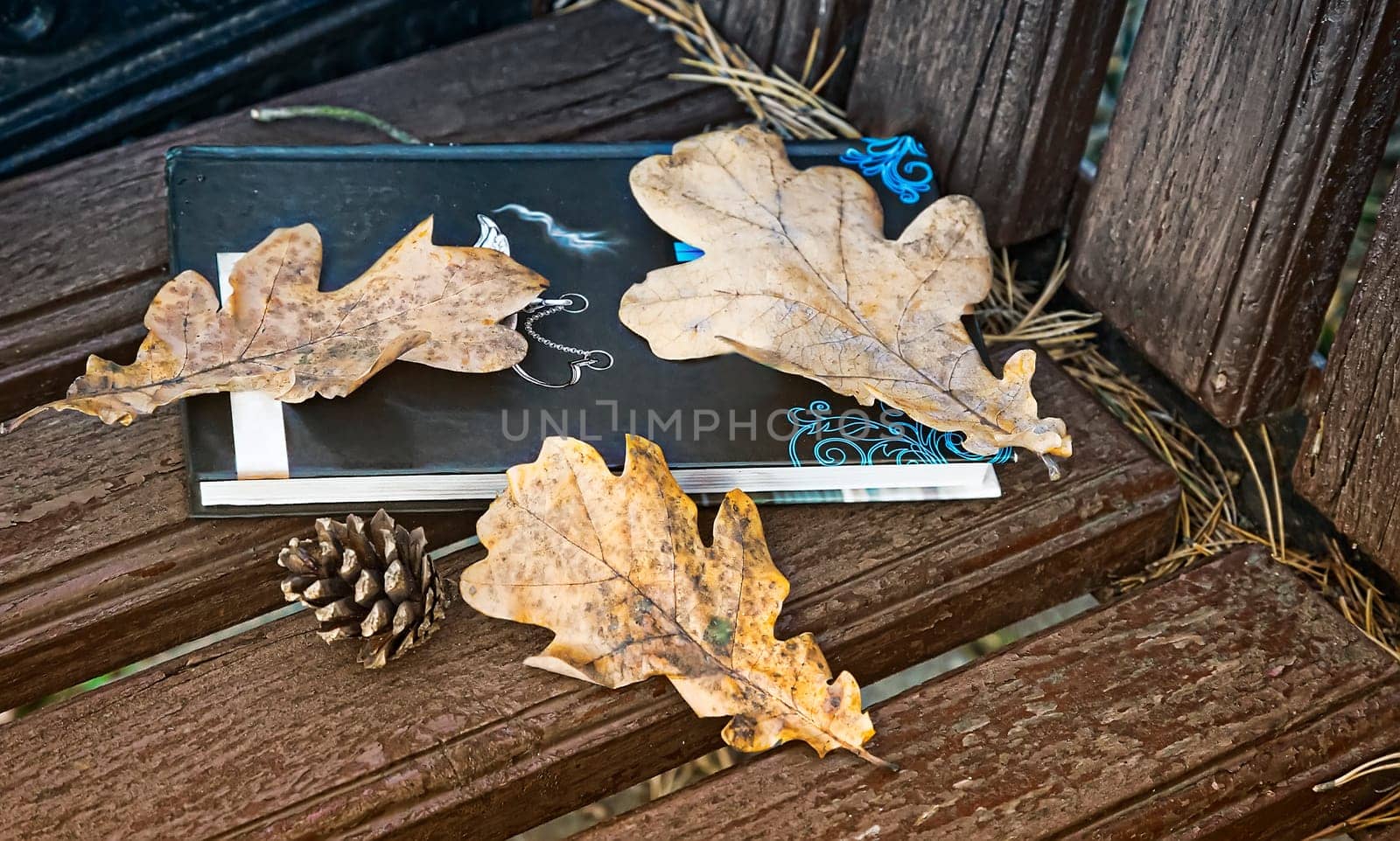 On a wooden bench in the Park book and yellow fallen autumn oak leaves.