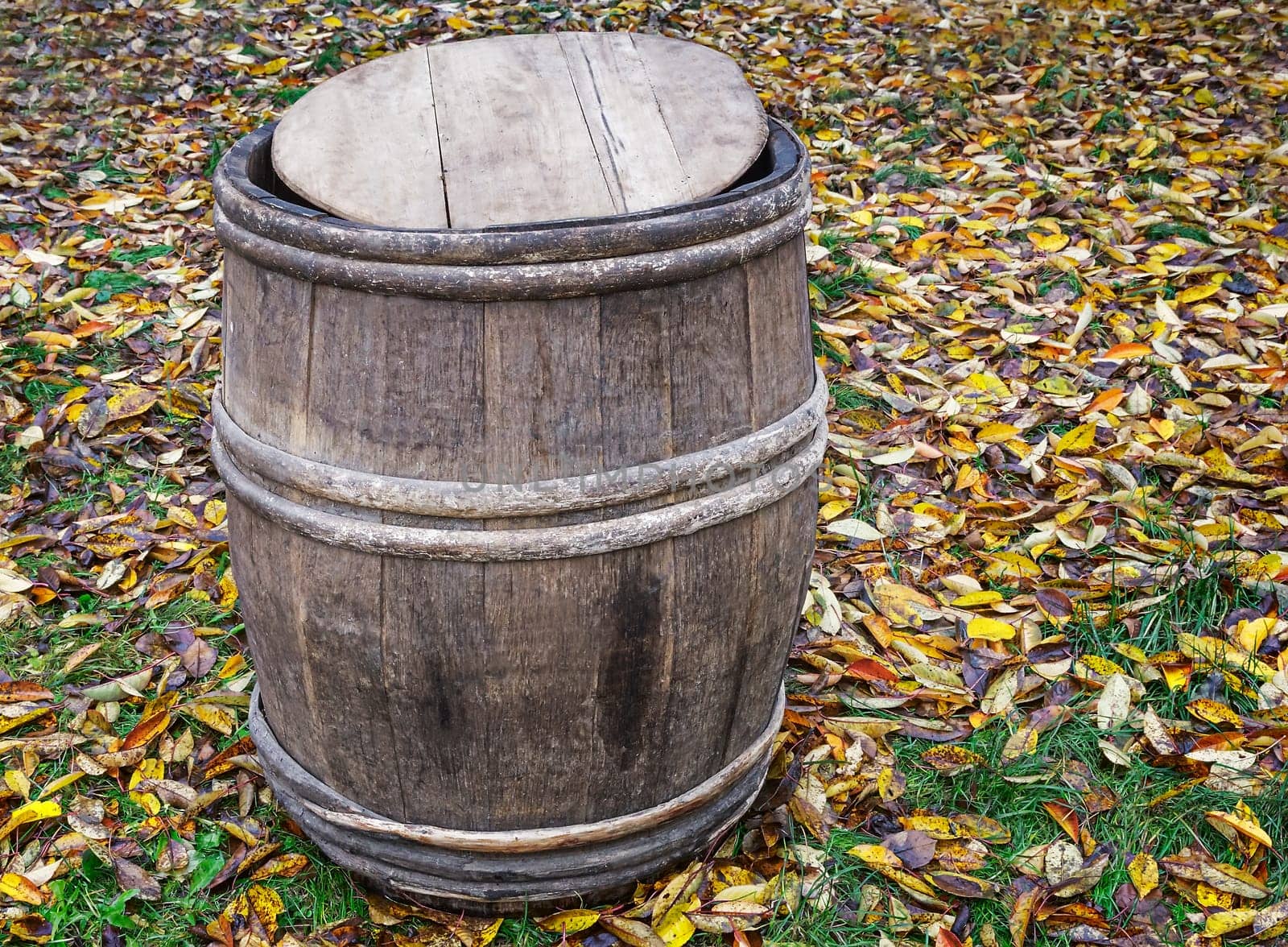 Oak barrel on the ground on a background of autumn leaves. by georgina198