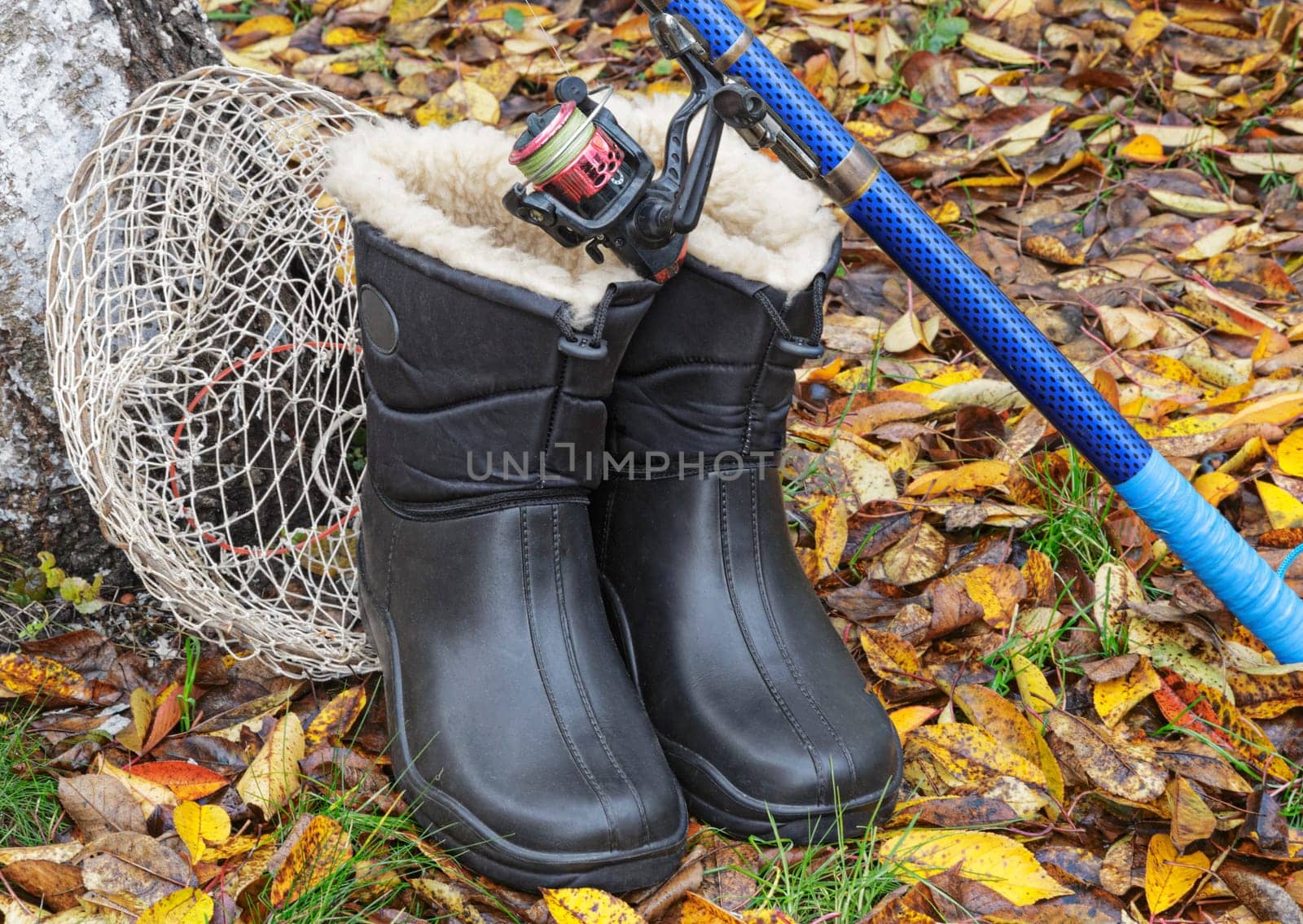 On earth on a background of autumn leaves are the items for fishing: landing net, spinning and warm waterproof boots.