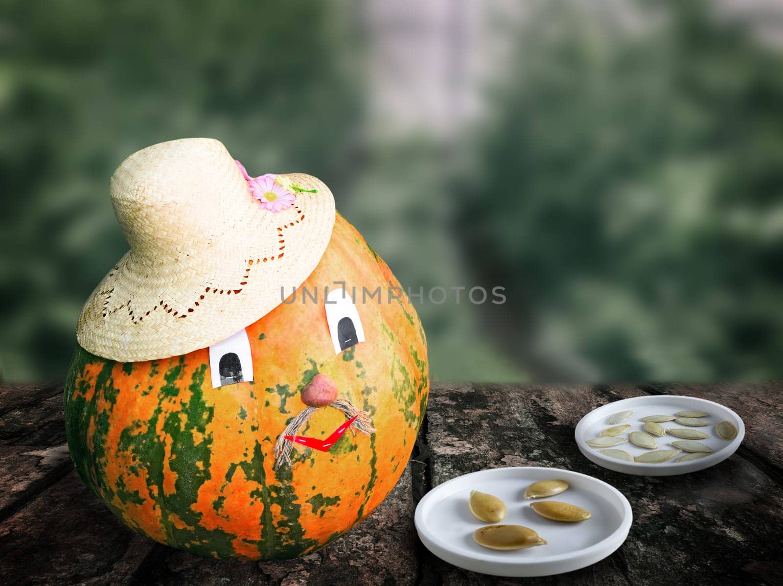 Seeds and fruits of a pumpkin on blurred background of the greenhouse. by georgina198