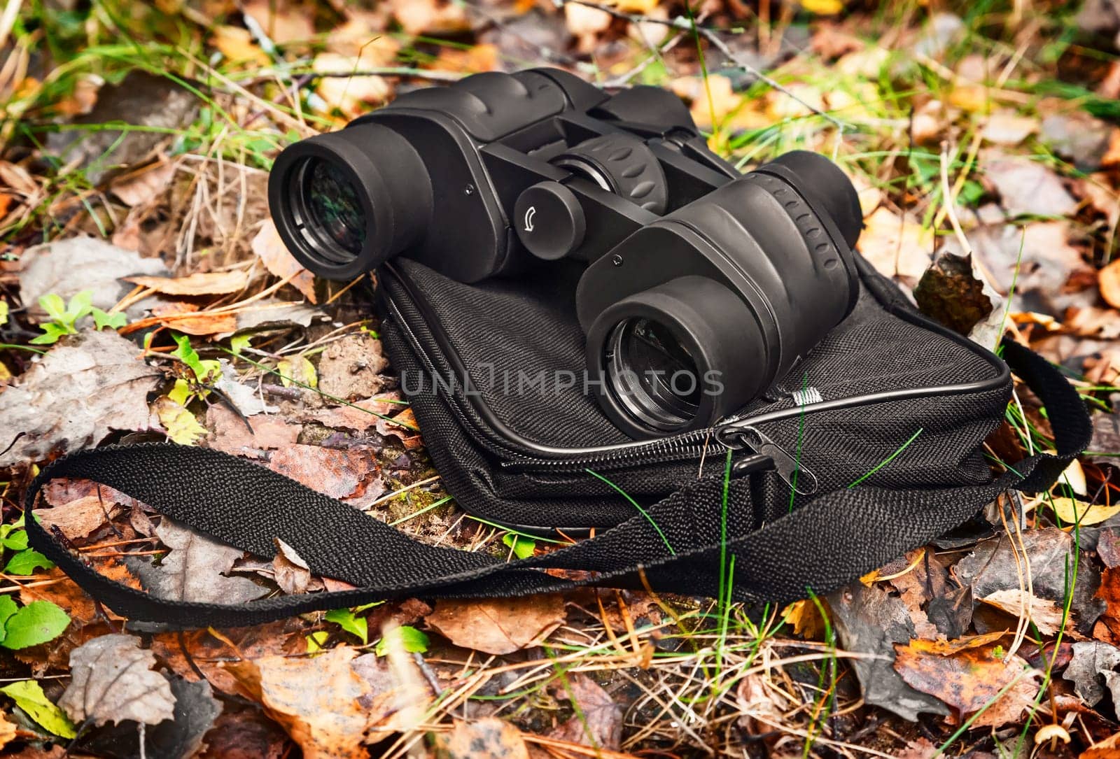 In woods on fallen leaves is a case for binoculars and binoculars.
