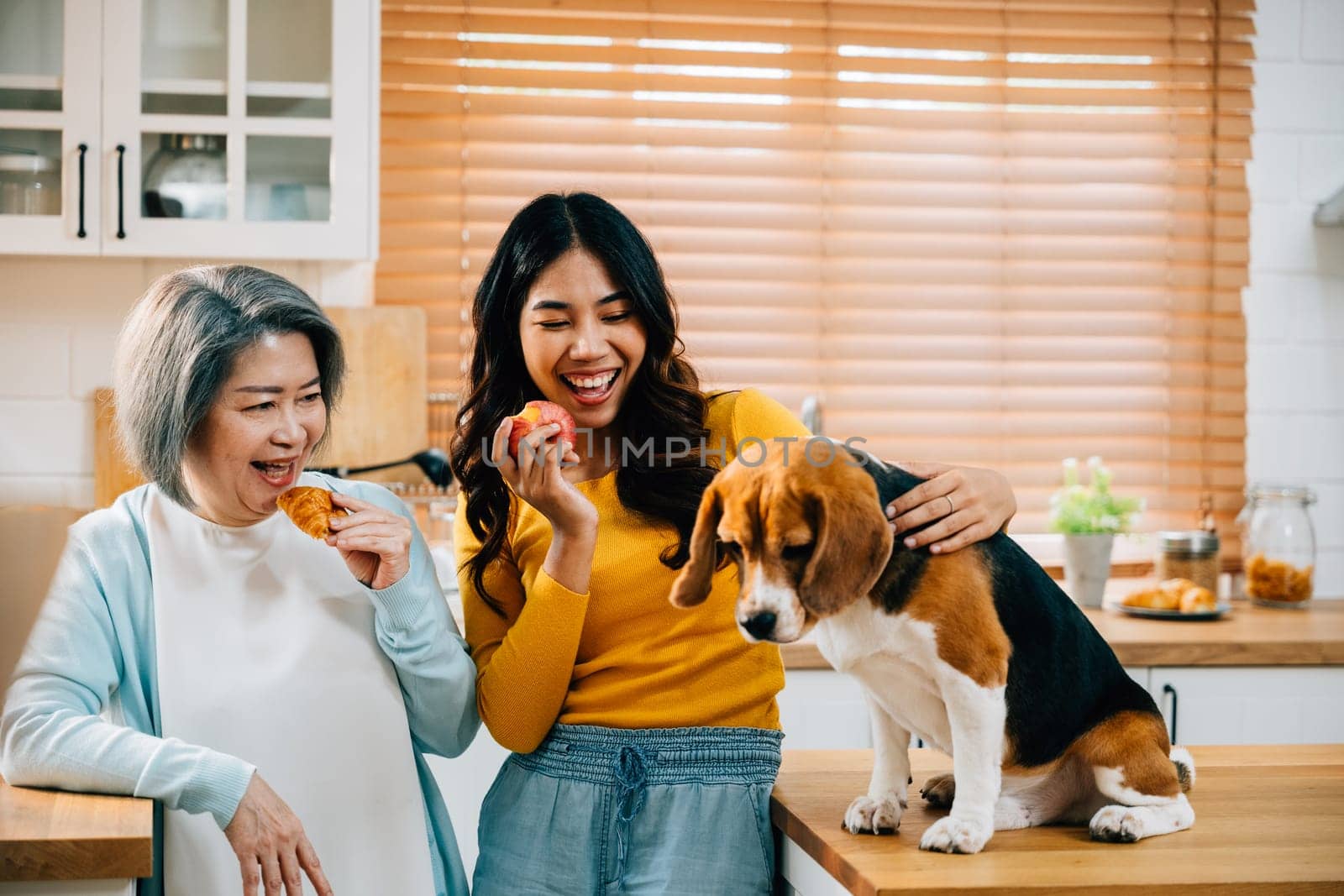 In the cozy kitchen of their home, a young Asian woman, her mother, and their beagle dog enjoy quality time together. This image embodies the concept of family, fun, and pet happiness. by Sorapop