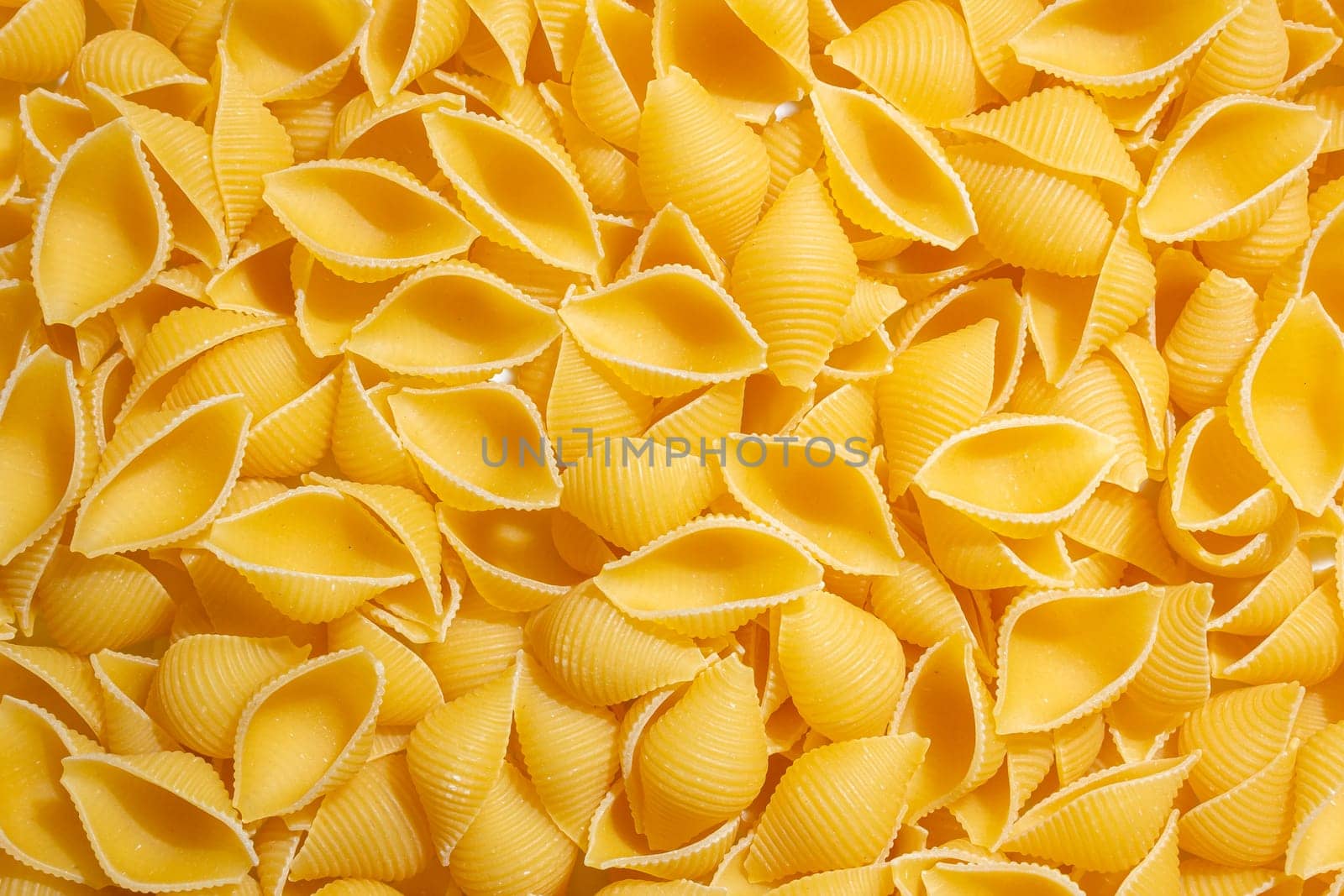 Uncooked Conchiglie Pasta Background by InfinitumProdux