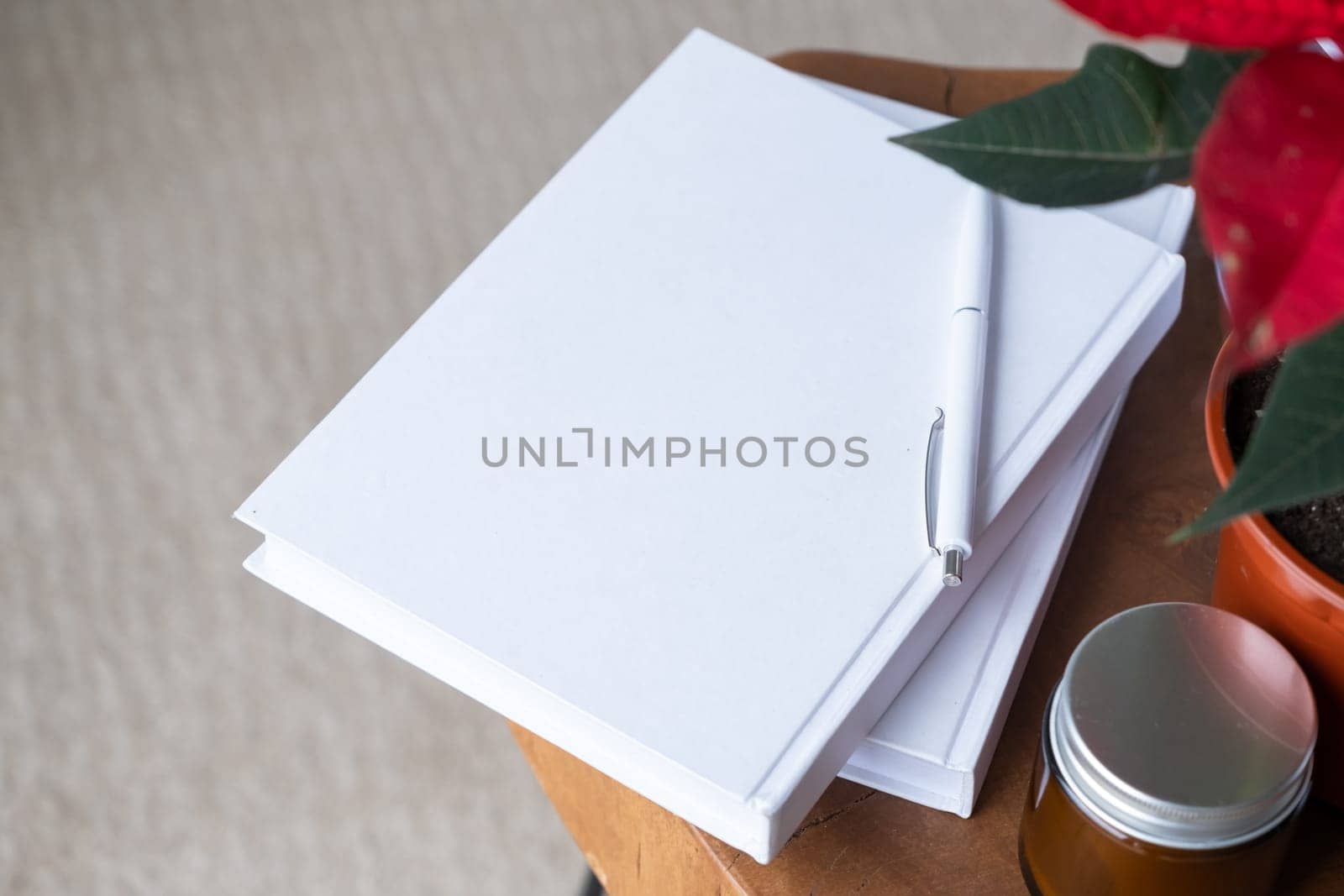 blank books with pen and poinsettia plant by Desperada
