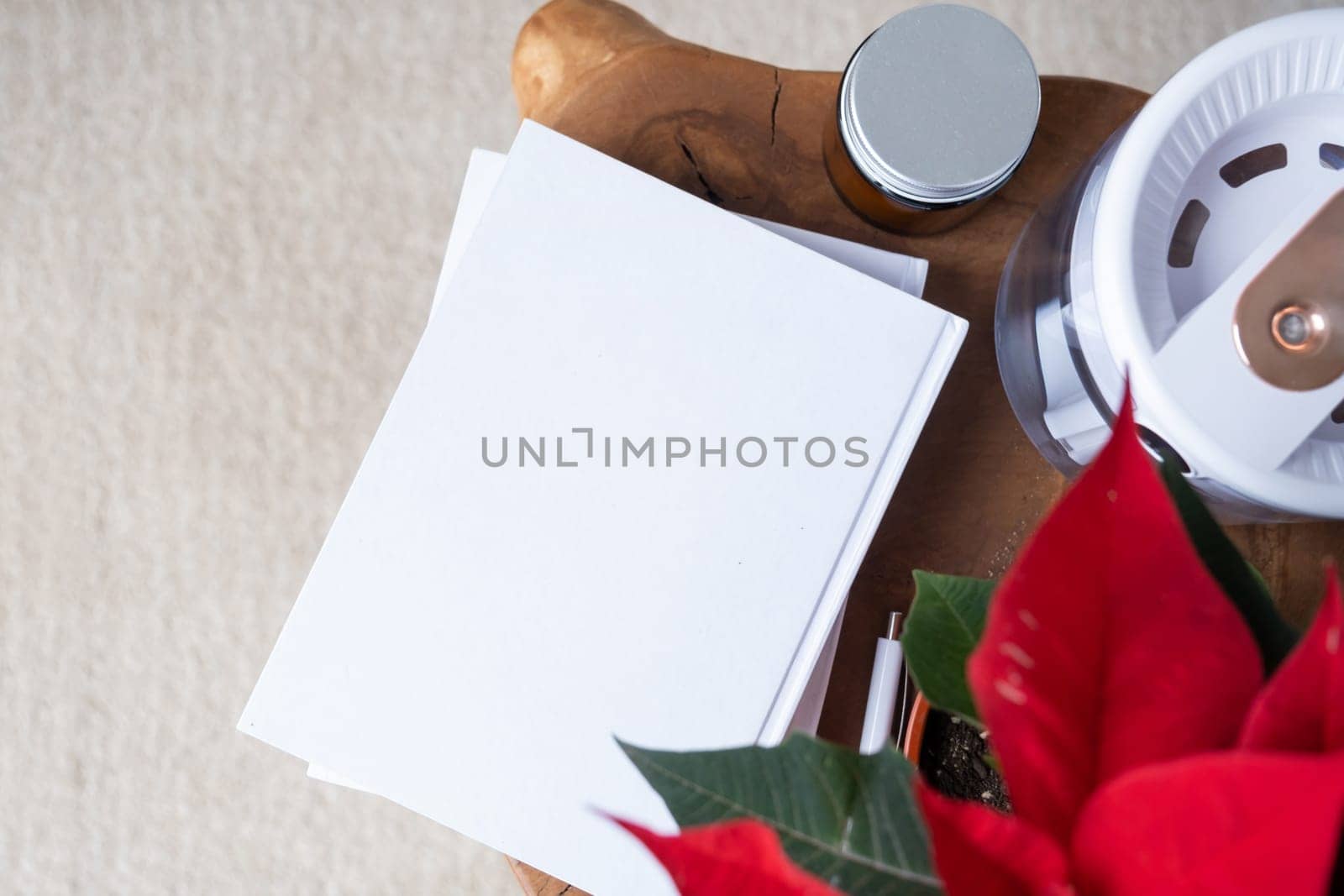 blank books for mockup design with pen and poinsettia plant