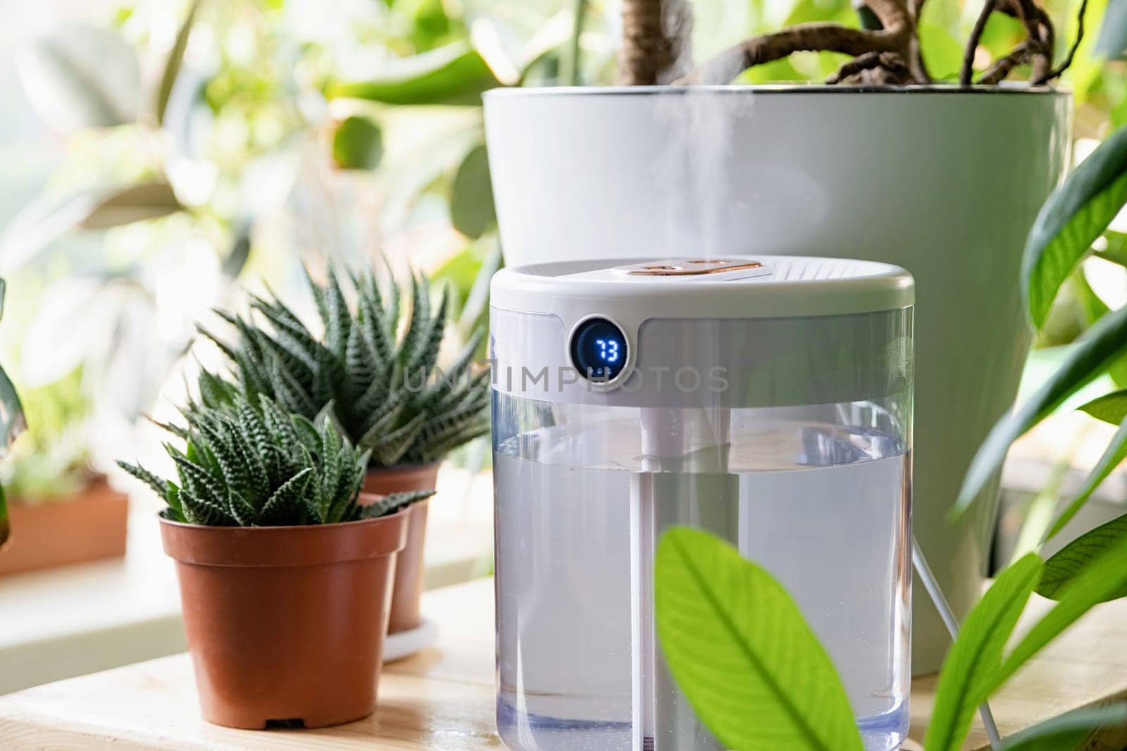 Modern air humidifier on table in living room full of plants. Space for text by Desperada