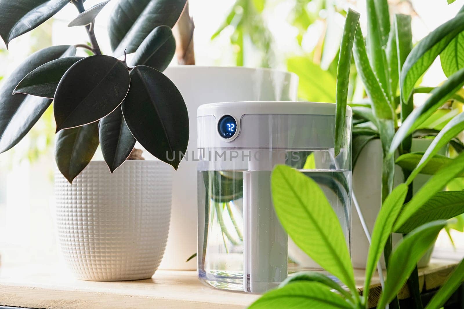 Modern air humidifier on table in living room full of plants. Space for text by Desperada