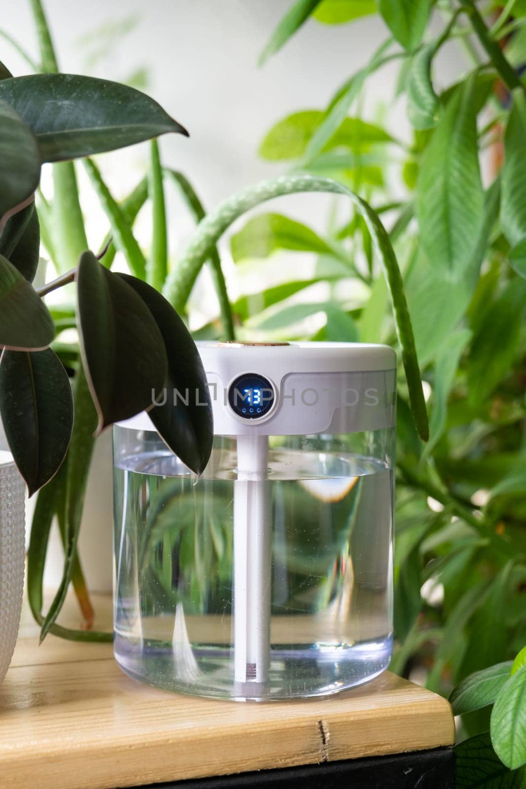 Modern air humidifier on table in living room full of plants. Space for text by Desperada