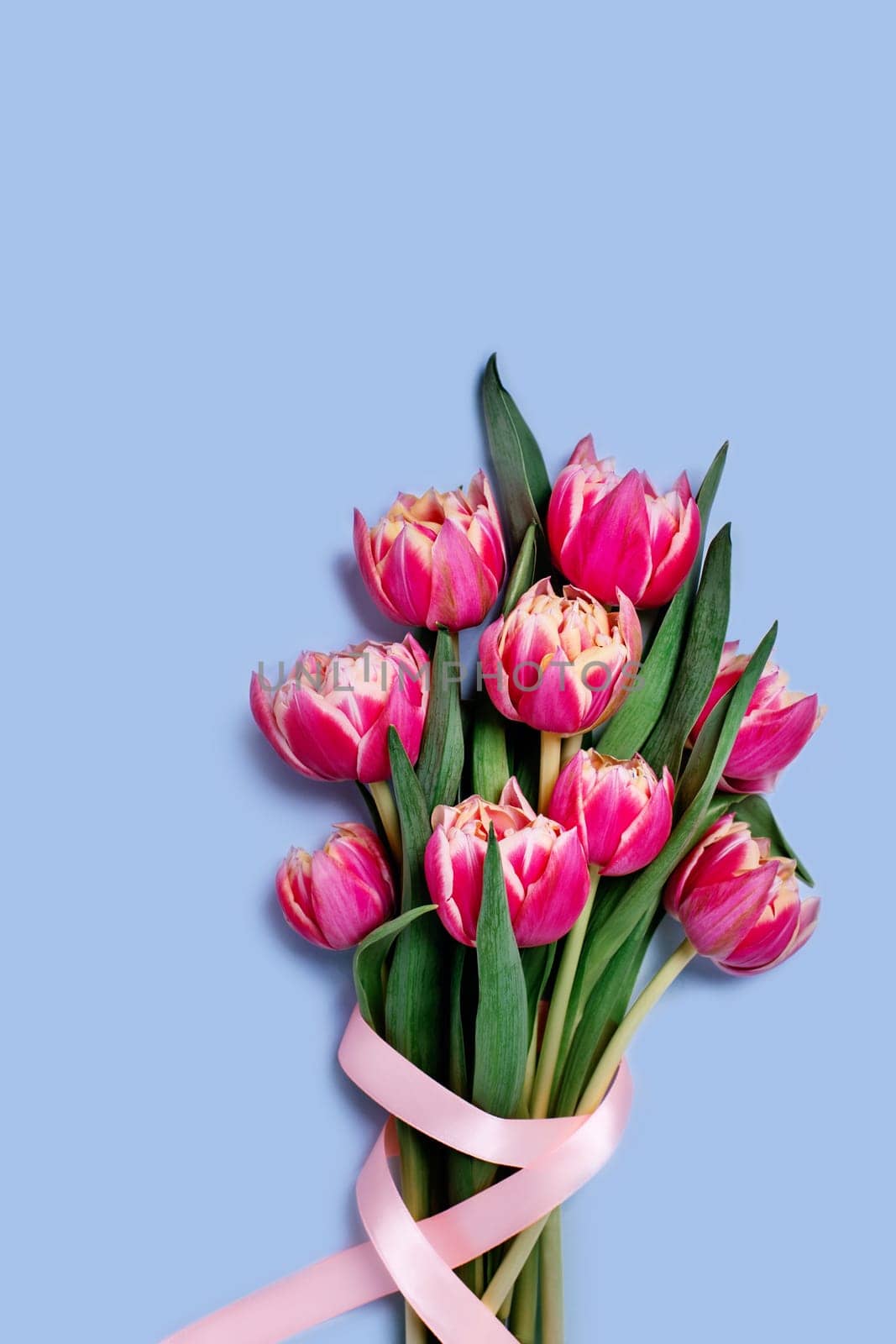 Greeting card with bouquet of tulips decorated with a pink ribbon on blue background, place for your text. Vertical picture.