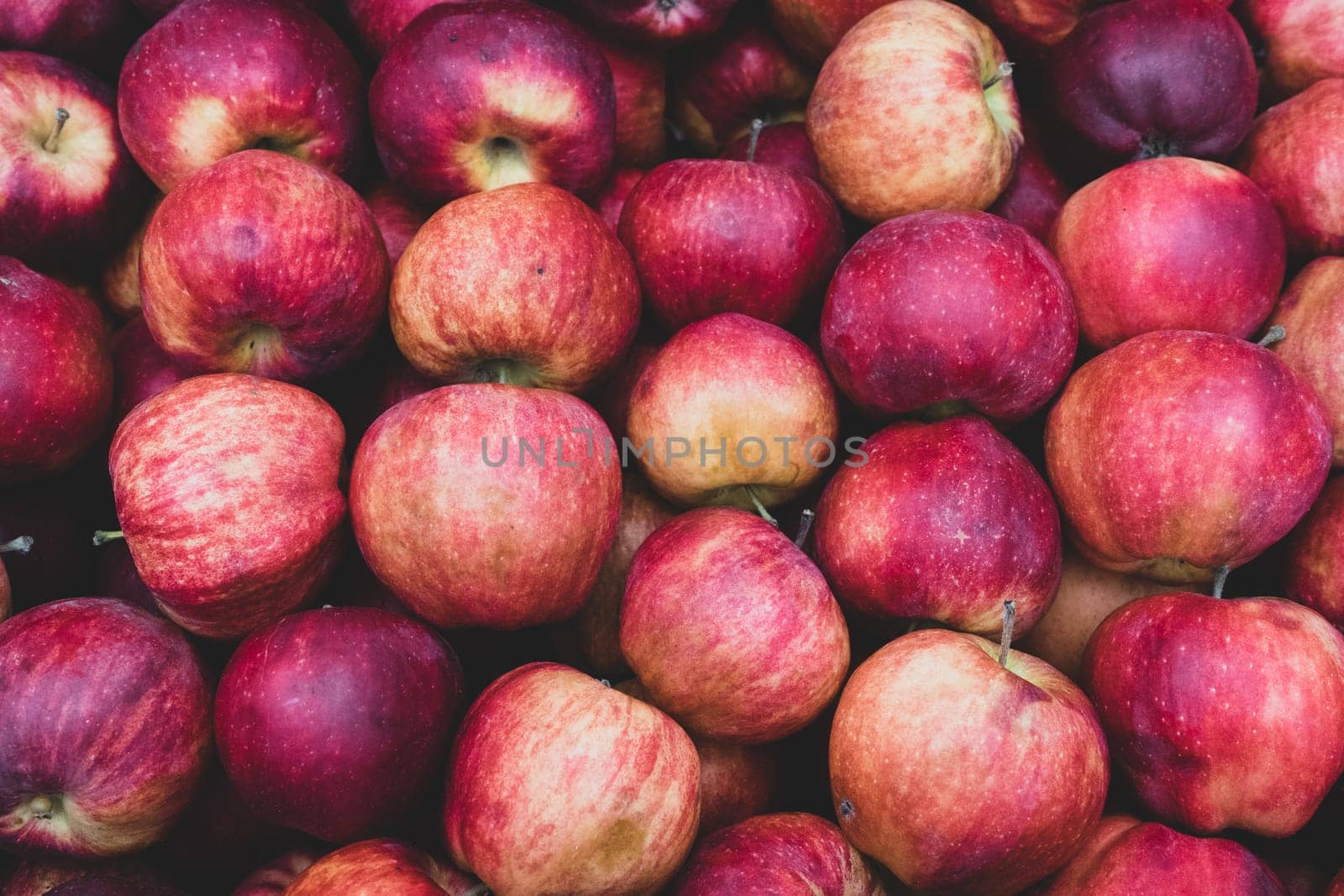 Lots of ripe apples in a rustic style.