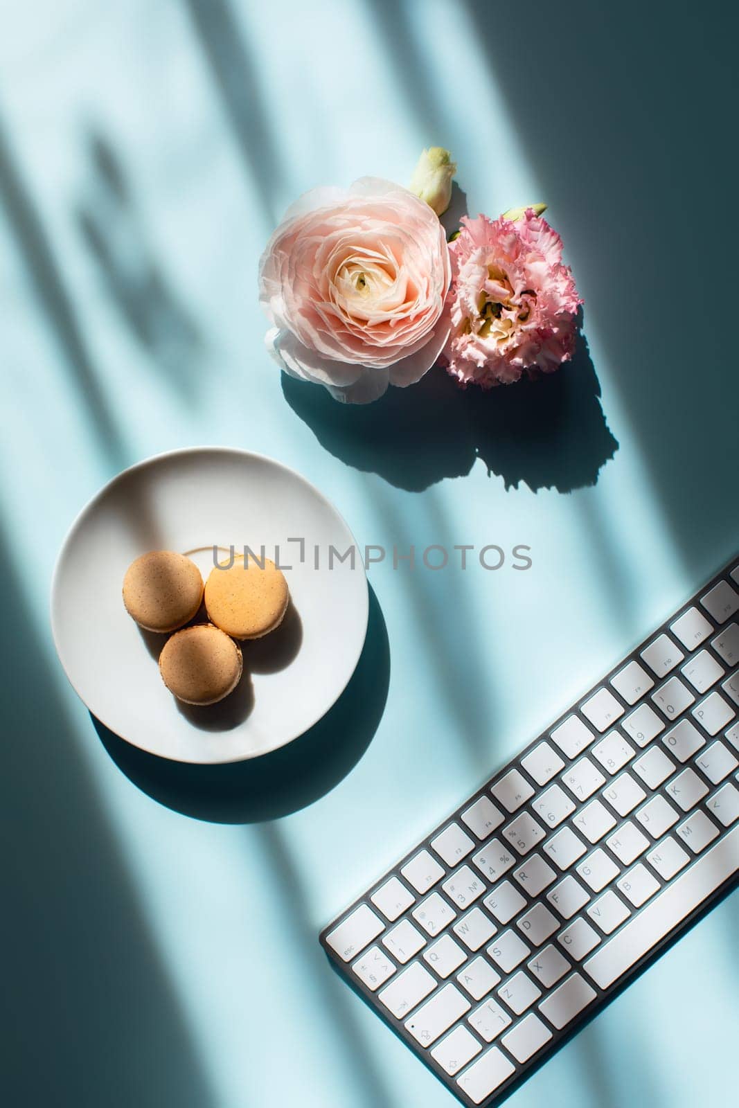 Workplace at home by the window. Flat lat macaroons in sunlight, flowers and keyboard.