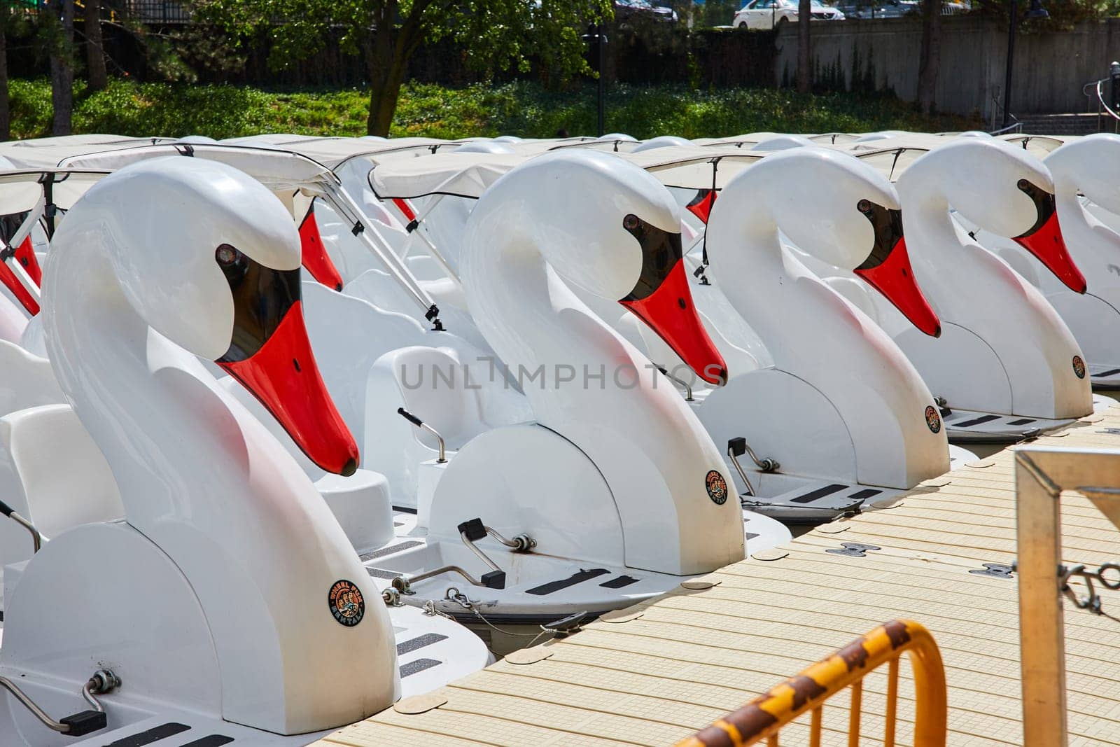 Sunny day in Indianapolis, Indiana with vibrant swan pedal boats lined up for leisure rides on the canal, 2023