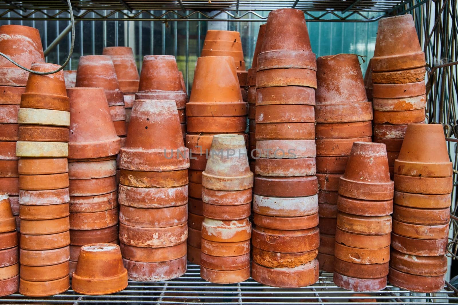 Terracotta Pot Collection in Greenhouse, Eye-Level View by njproductions