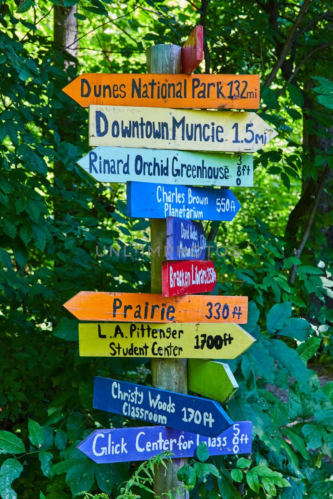 Vibrant hand-painted directional signpost in lush Indiana garden, guiding towards educational and natural attractions.