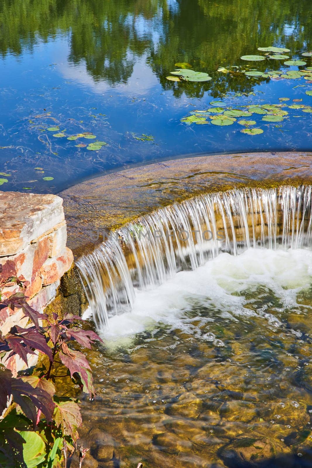 Tranquil Waterfall and Reddish Leaves in Natural Setting by njproductions