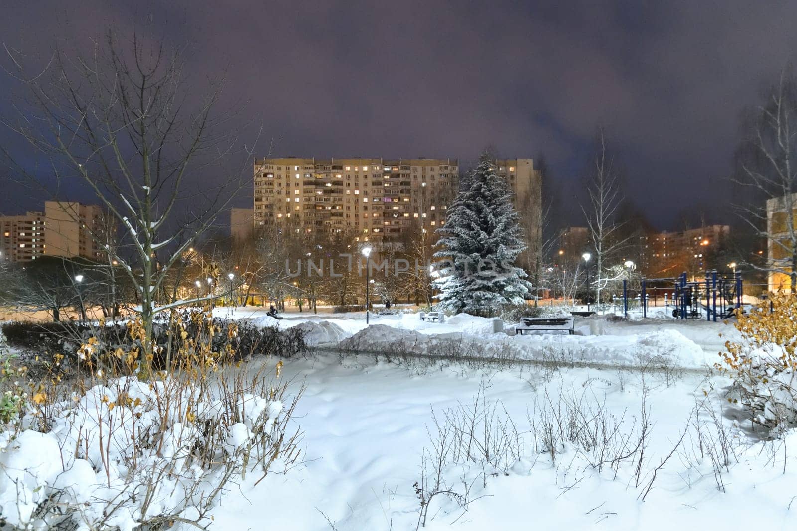 Winter cityscape with multi-storey residential buildings and snow covered fir trees in Moscow, Russia