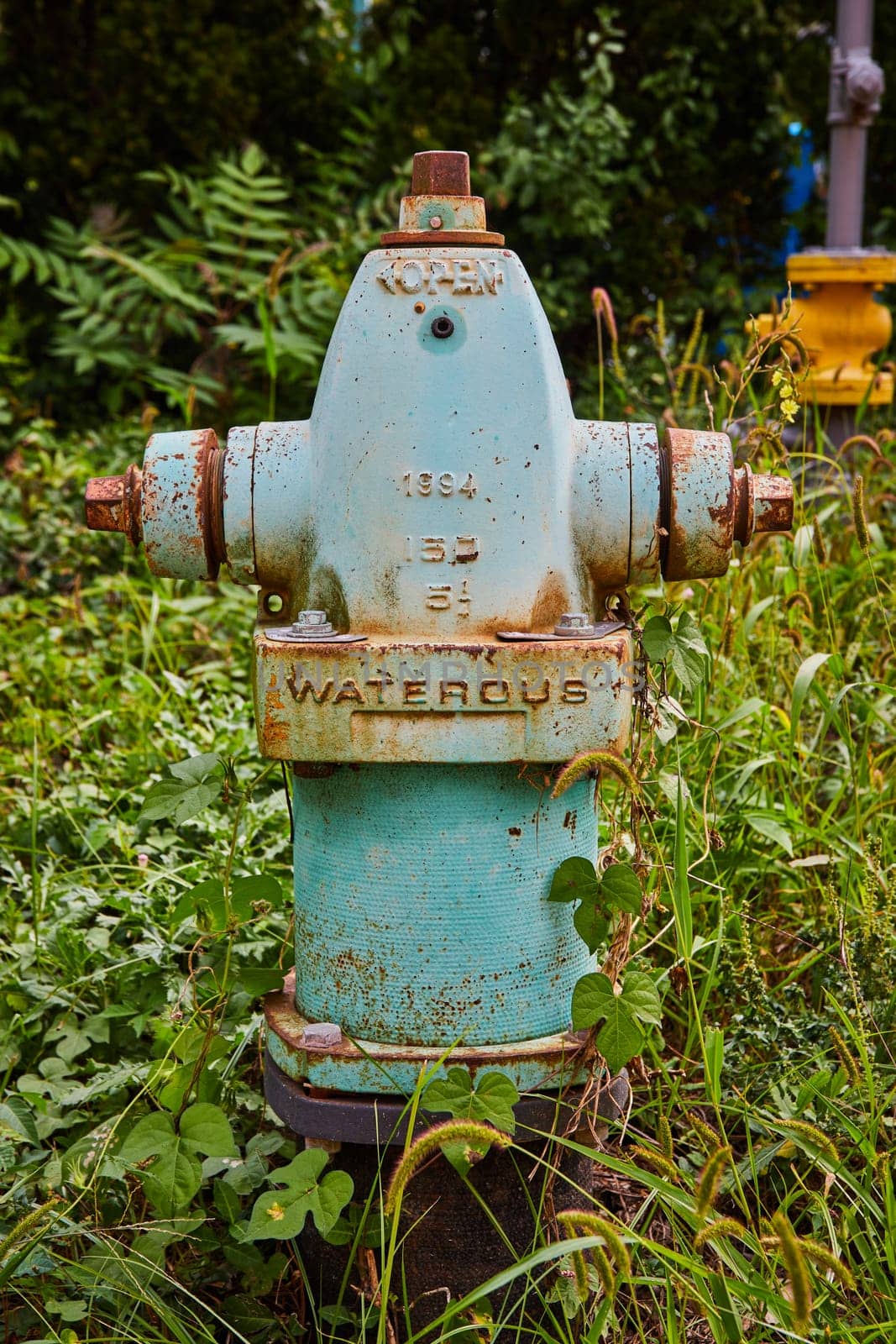Vintage 1994 Waterous Fire Hydrant in Overgrown Urban Setting, Indianapolis Art Center, Indiana - A Symbol of Neglect and Resilience