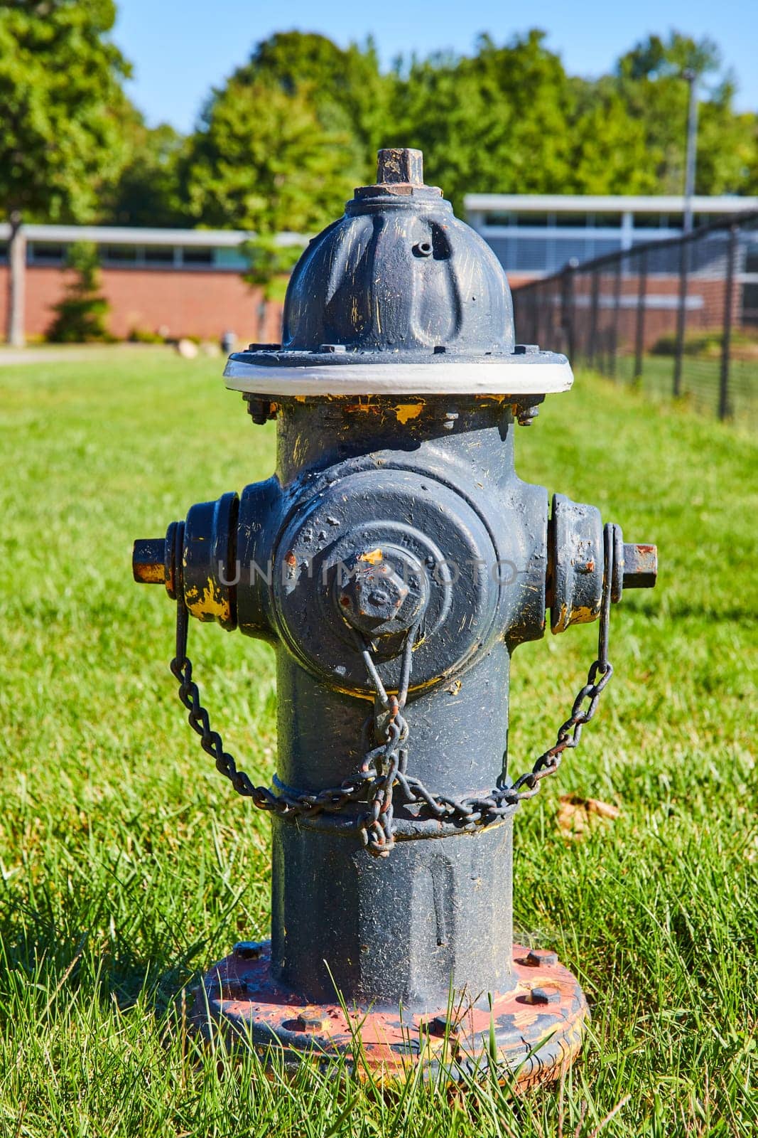 Chained Blue Fire Hydrant with Rust and Green Grass Background by njproductions