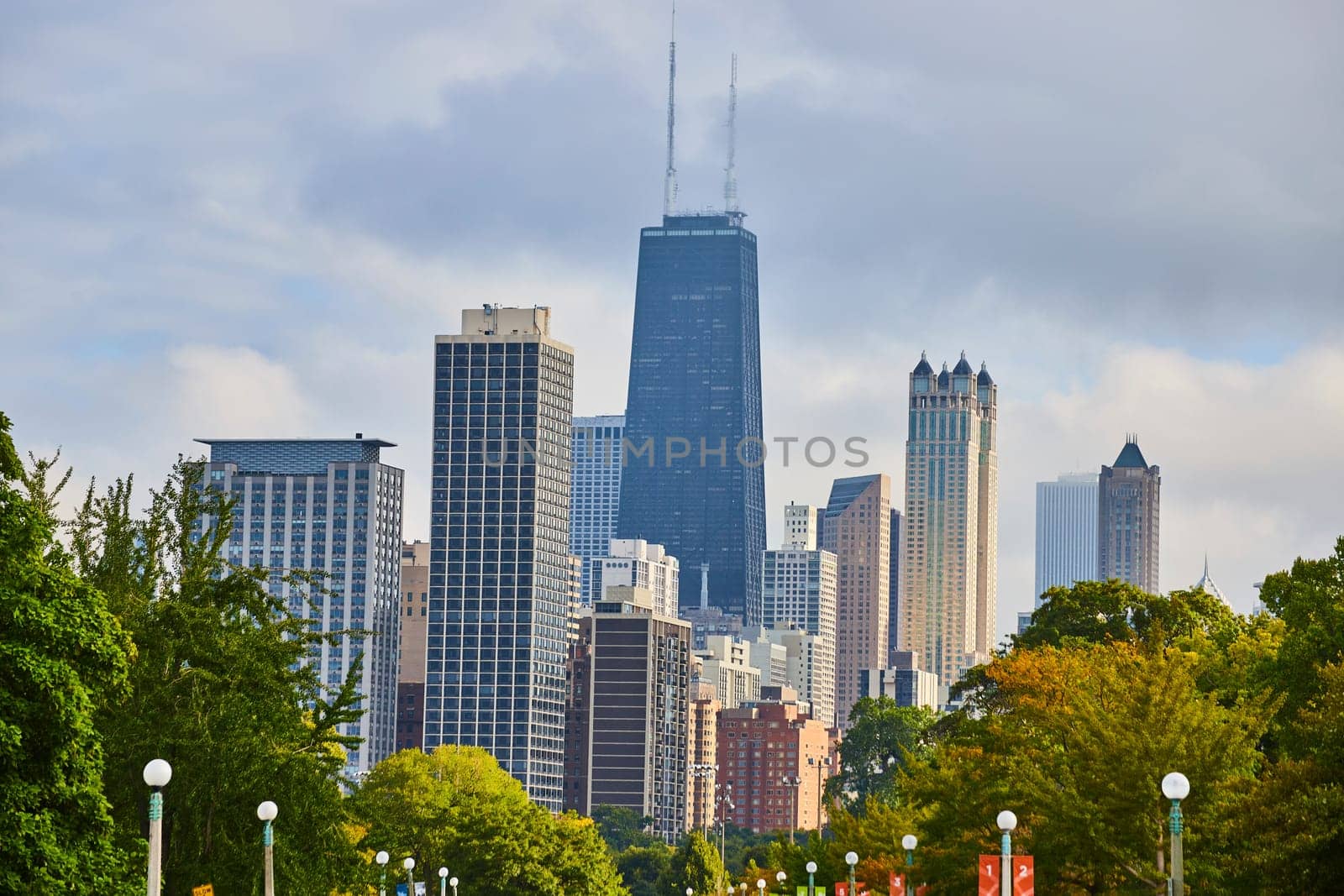 Image of Chicago skyscraper skyline with lush green trees leading to downtown buildings, tourism, travel, USA