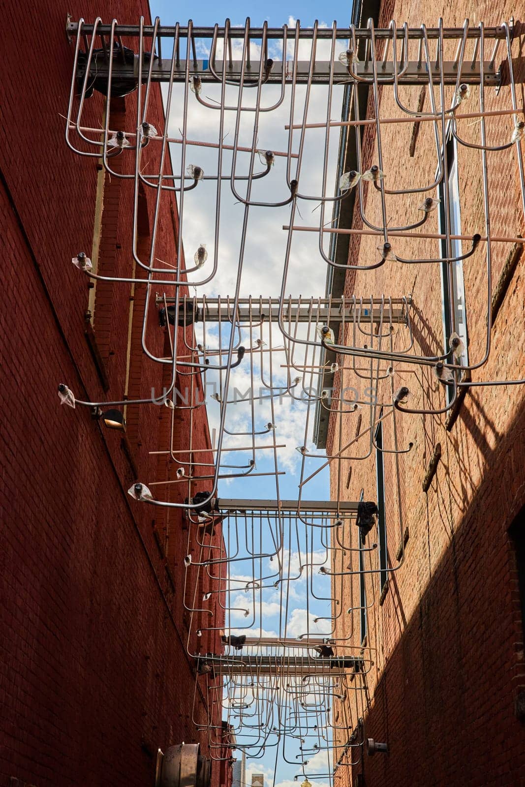 Daytime View of Pigeons Perched on Geometric Fire Escapes Between Brick Buildings in Downtown Muncie, Indiana - A Striking Display of Urban Wildlife and Architecture