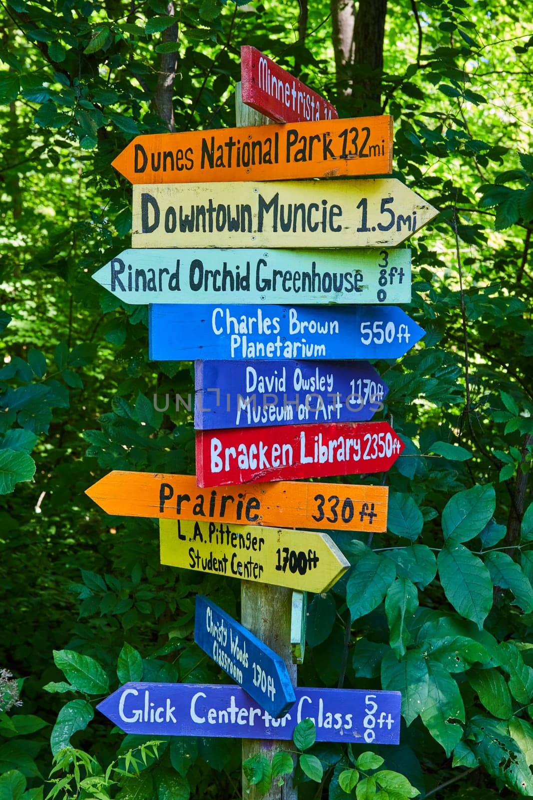 Vibrantly colored signpost at Muncie, Indiana in 2023, pointing towards local attractions like Dunes National Park, Downtown Muncie, and University landmarks amid lush greenery