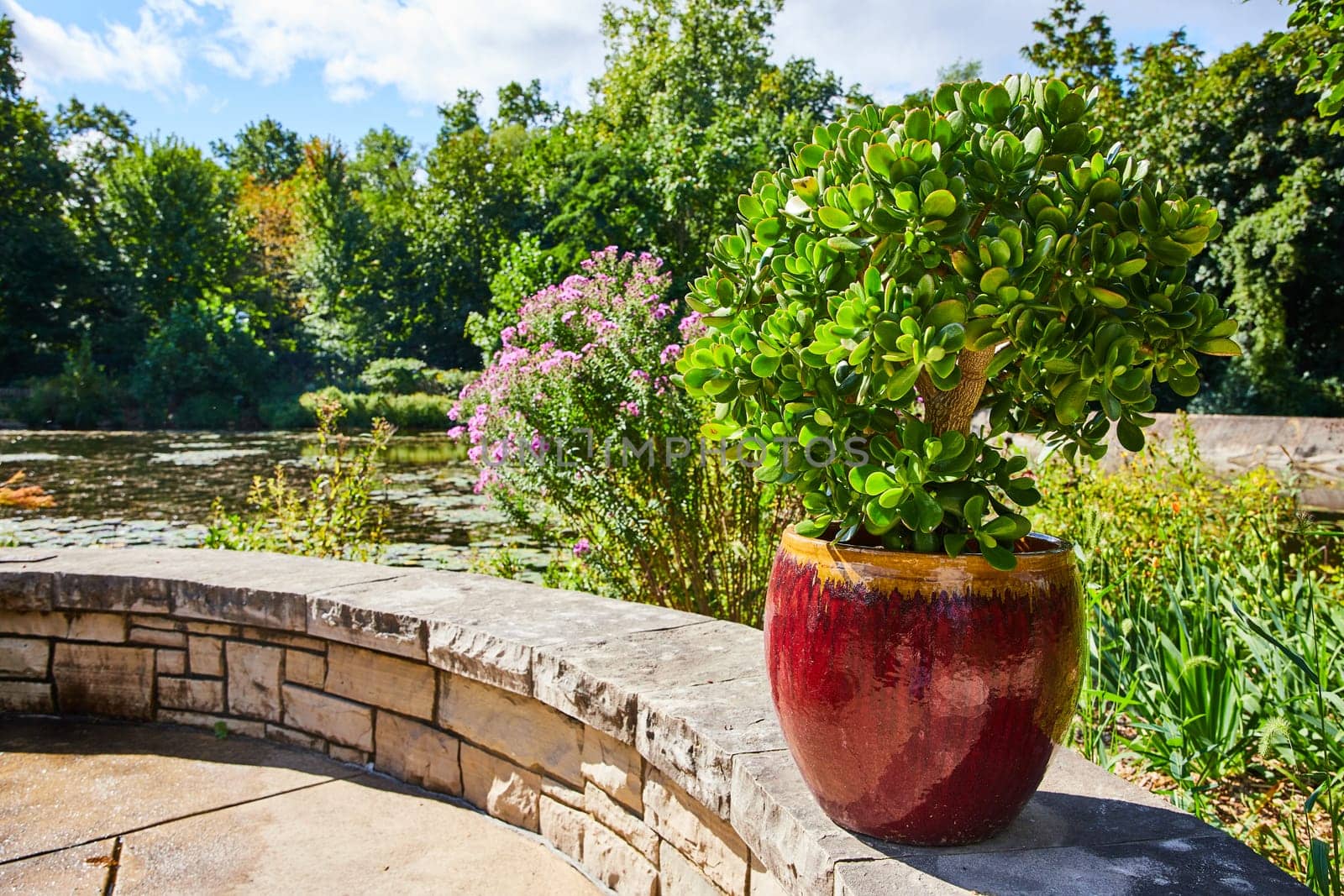 Sunny Day at Elkhart Botanic Gardens, Indiana - Vibrant Succulent in Ornate Ceramic Pot Amidst Lush Greenery and Pond