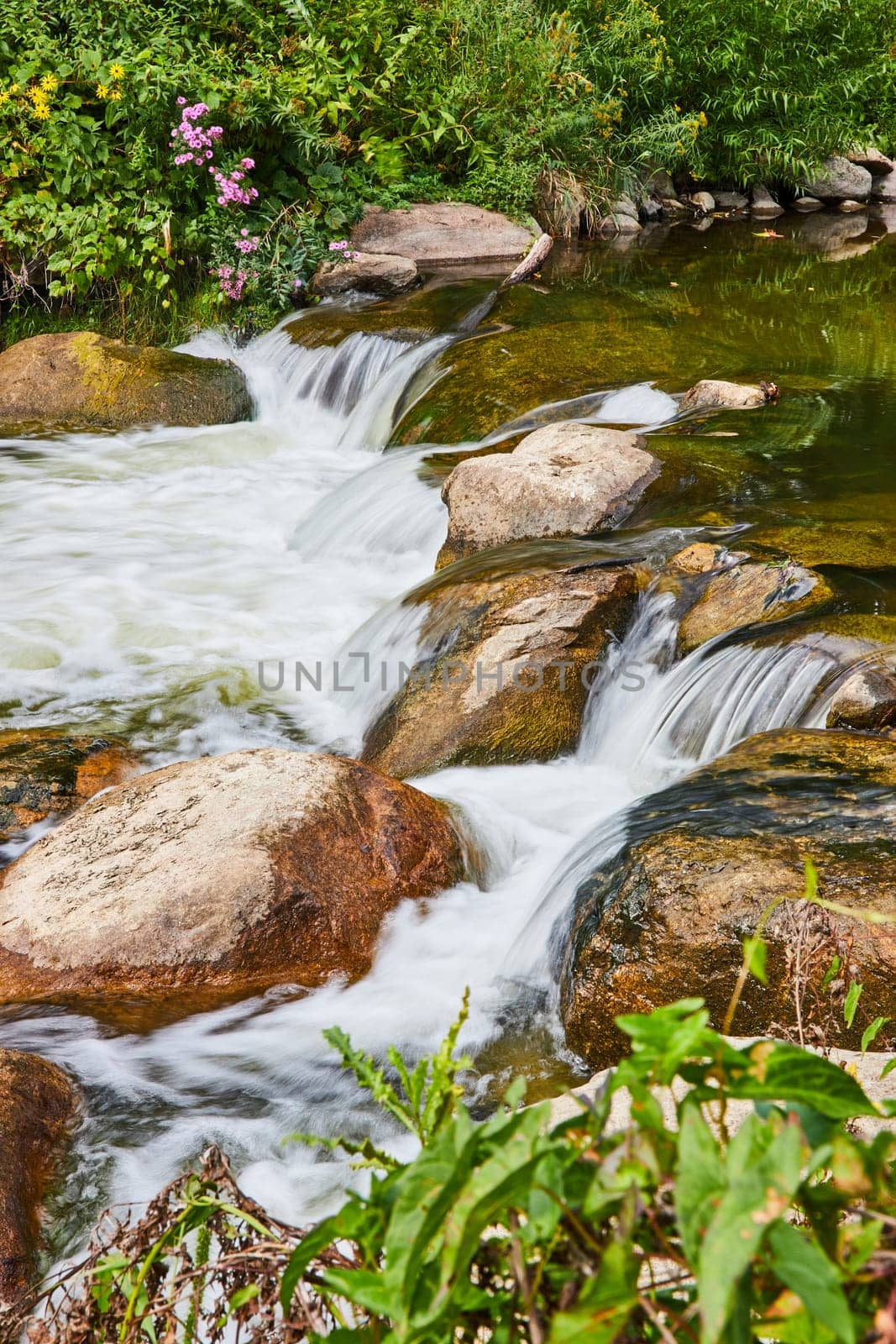 Serene Waterfall Oasis with Pink Wildflowers, Lush Greenery Close-Up by njproductions