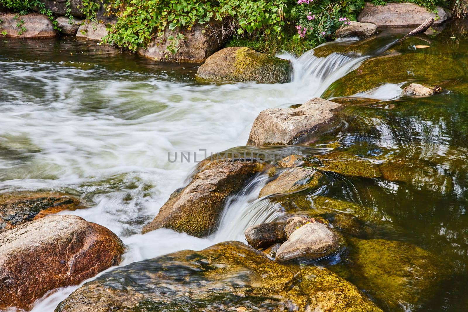 Tranquil Waterfall in Lush Forest - Eye Level View by njproductions