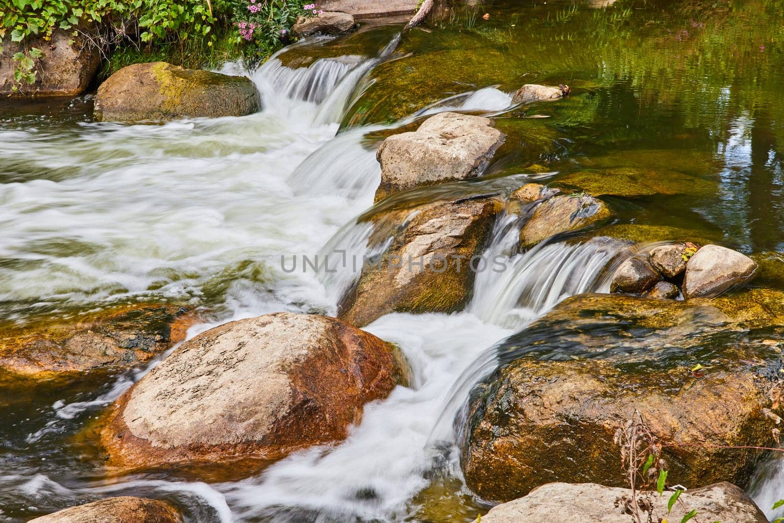 Serene River Flow and Mossy Rocks at Botanic Gardens - Daytime Perspective by njproductions