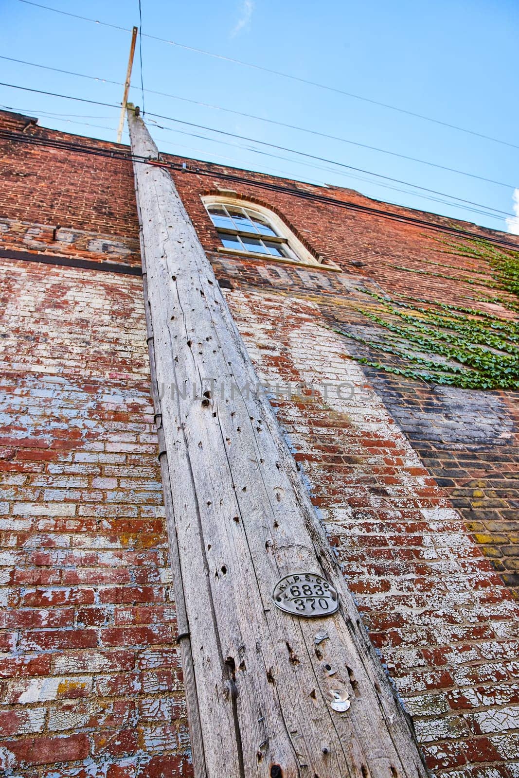 Image of Wall of red brick building with green ivy plant and upward view of telephone pole and window