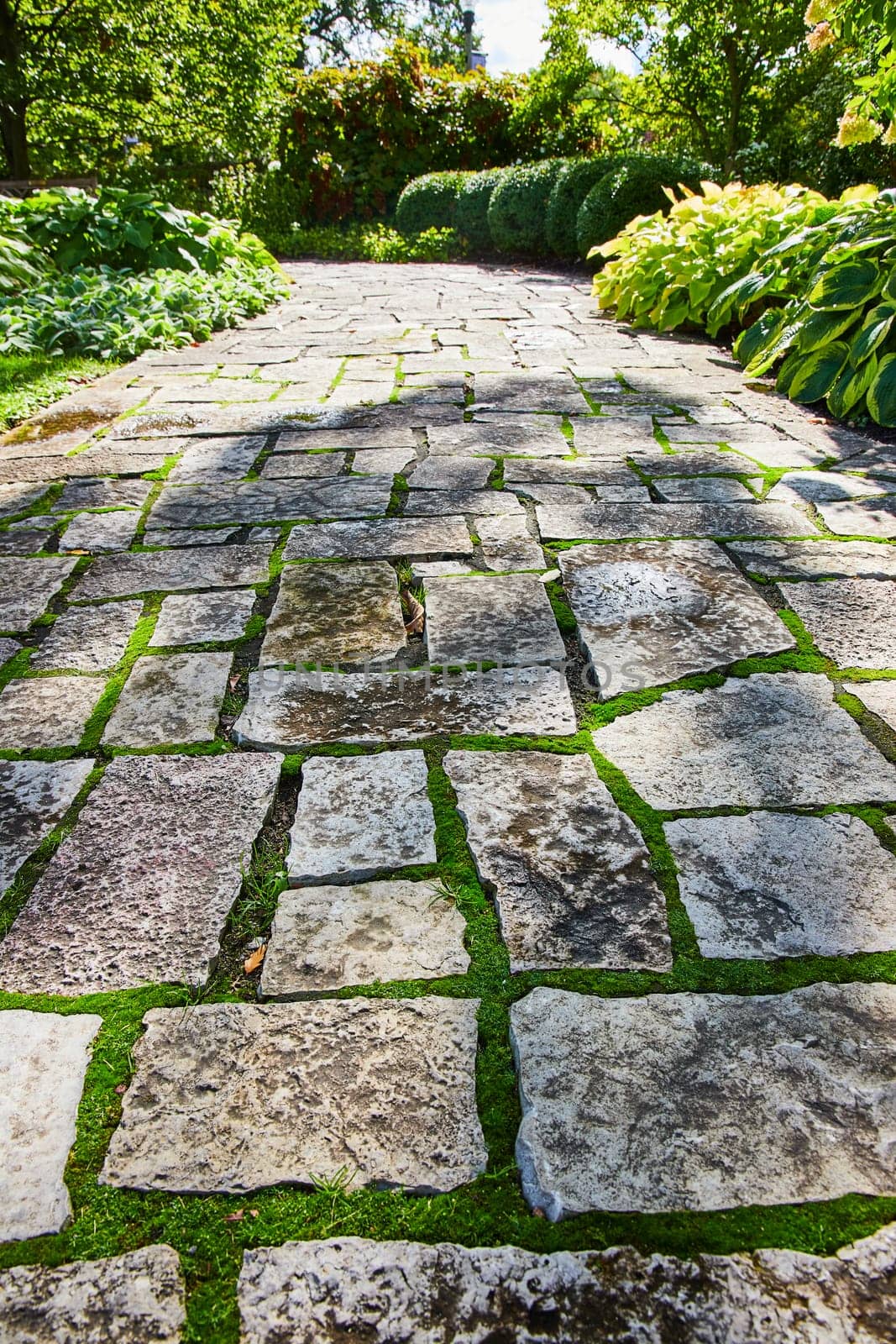Stunning stone walkway through a lush, well-manicured garden in Botanic Gardens, Elkhart, Indiana, evoking tranquility and natural beauty.
