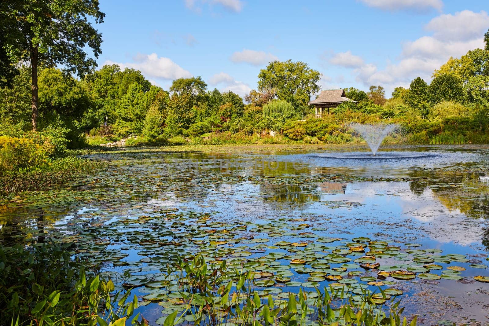 Serene pond with lily pads and fountain in a lush botanical garden, under a clear sky in Elkhart, Indiana, 2023