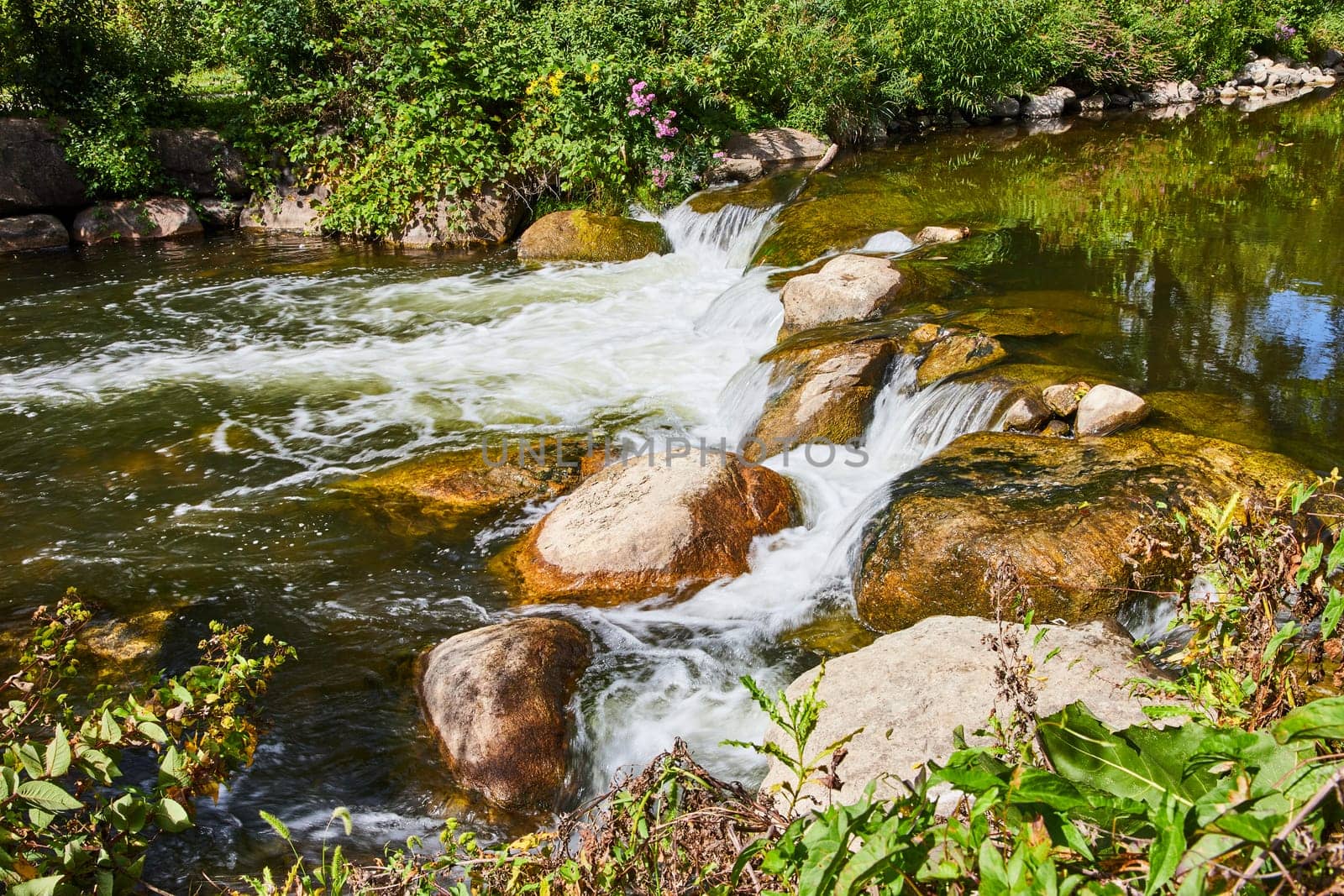 Vibrant Waterfall Scene at Elkhart Botanic Gardens, Indiana, 2023 - Serene Waters Flowing Over Boulders Amidst Lush Greenery