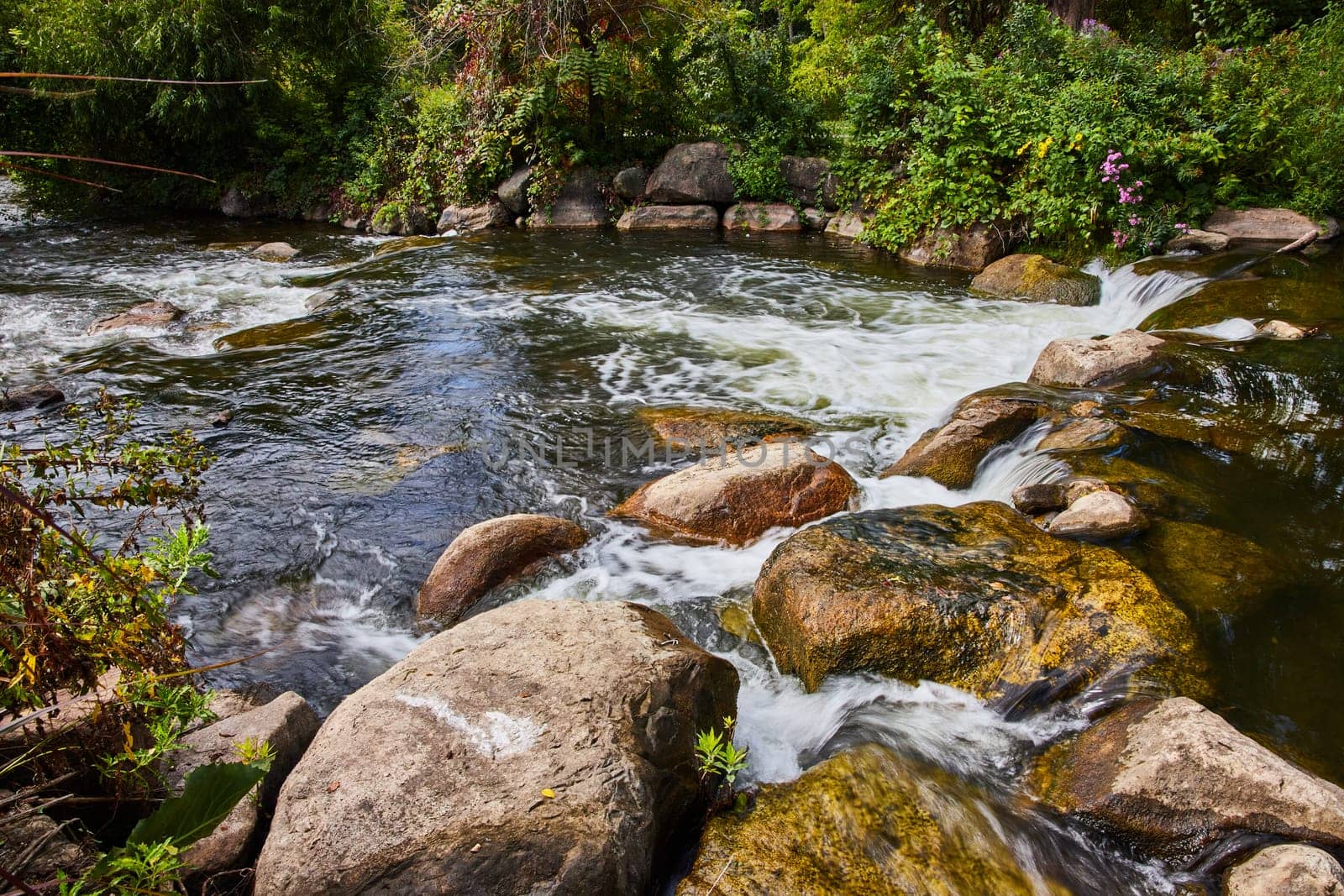 Swift River Flow Over Rocks in Lush Forest Setting by njproductions