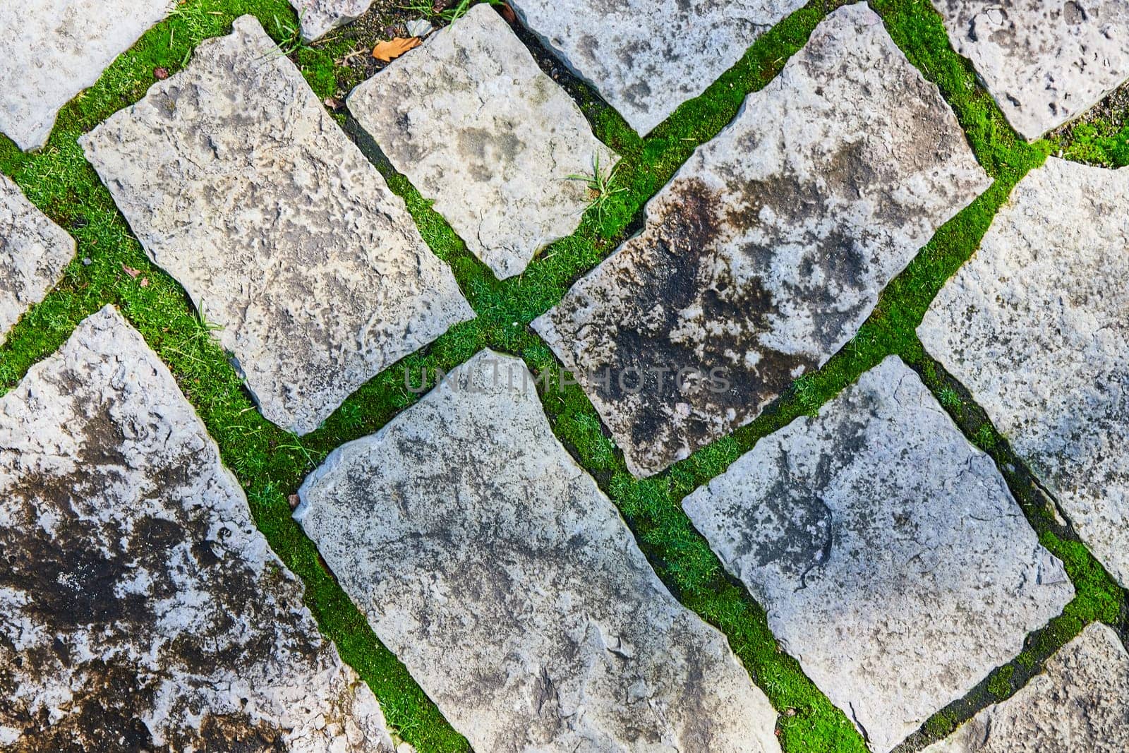 Weathered Stone Path with Grass - Geometric Garden Walkway by njproductions