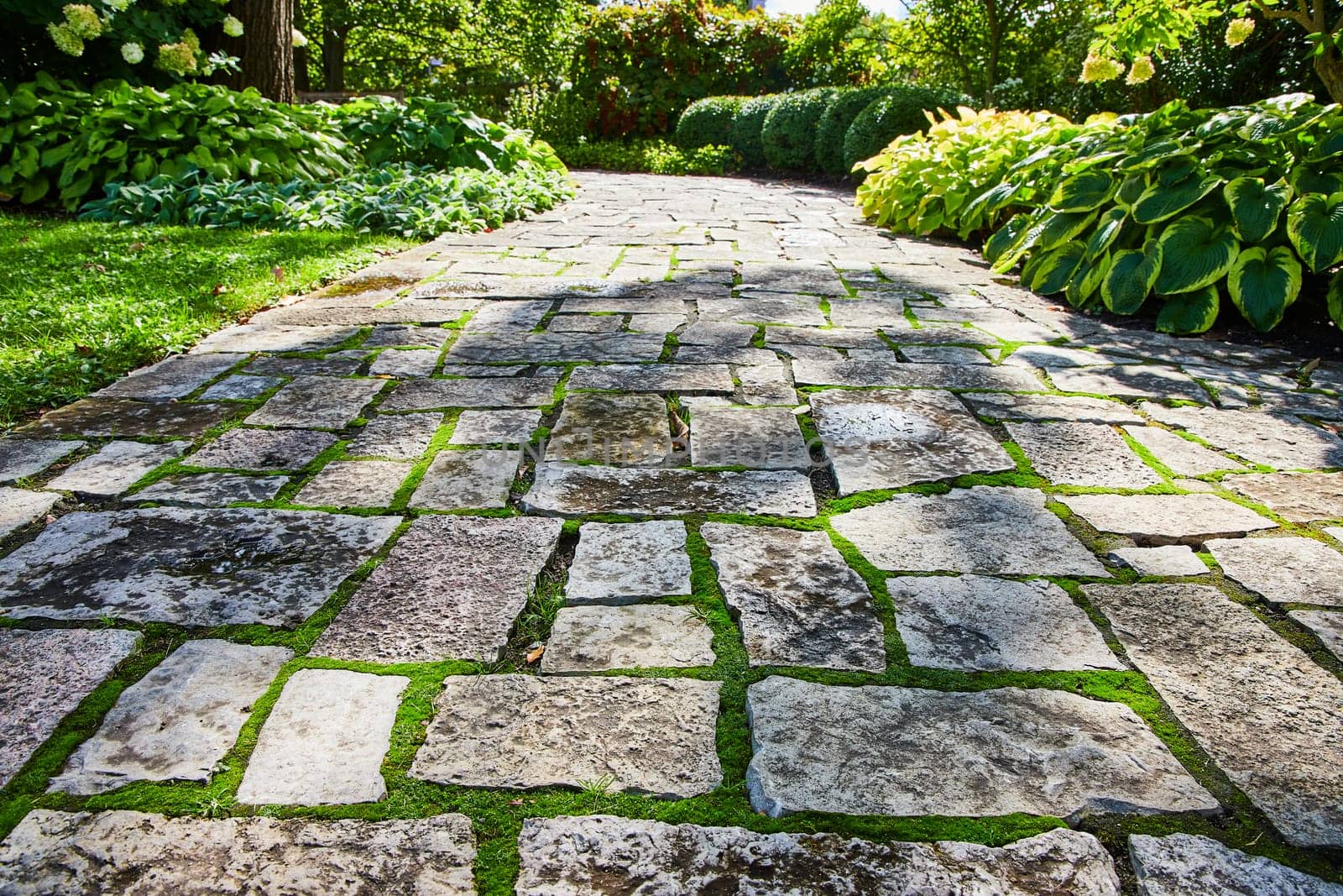 Vibrant 2023 view of a serene cobblestone pathway in Elkhart, Indiana's Botanic Gardens, highlighting the lush greenery and natural beauty of suburban landscaping.