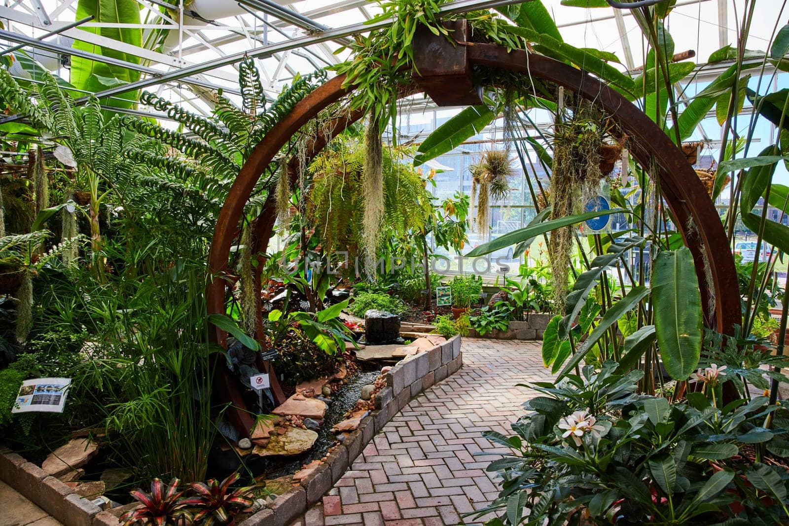 Lush Greenhouse Interior in Muncie, Indiana - An Inviting Pathway Through Tropical Exuberance