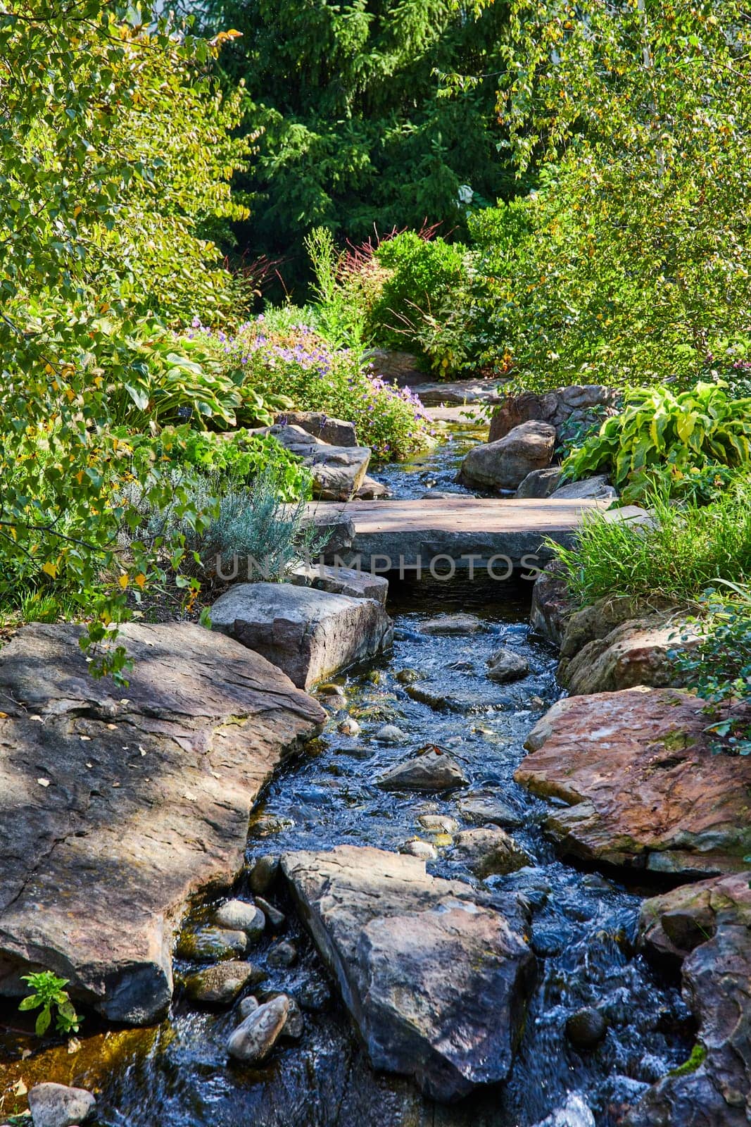 Serene Summer Day at Elkhart Botanic Gardens, Indiana - Sparkling Creek, Charming Wooden Bridge, and Vibrant Flora