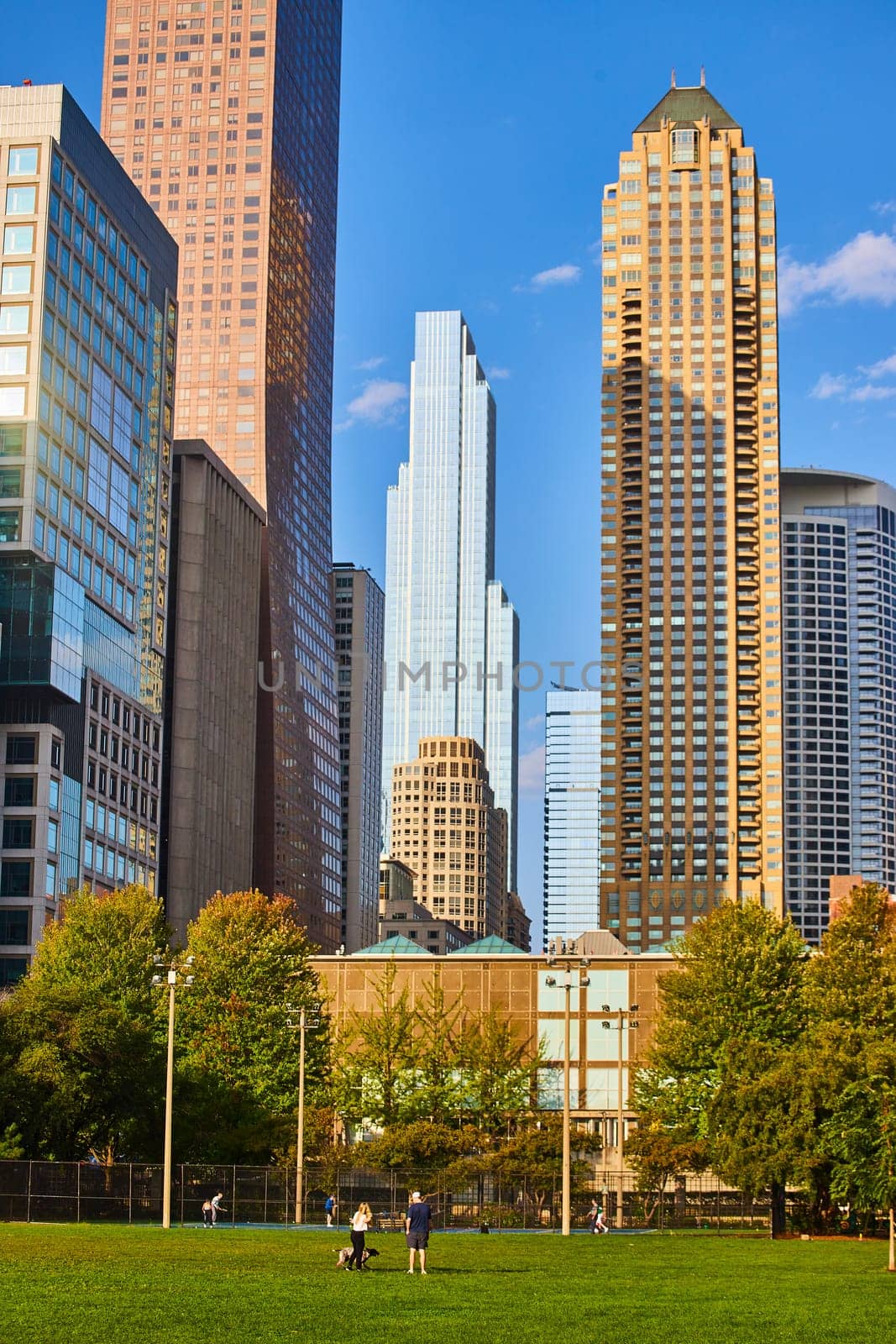 Image of Park on sunny day in inner city Chicago with bright, golden skyscrapers and blue sky