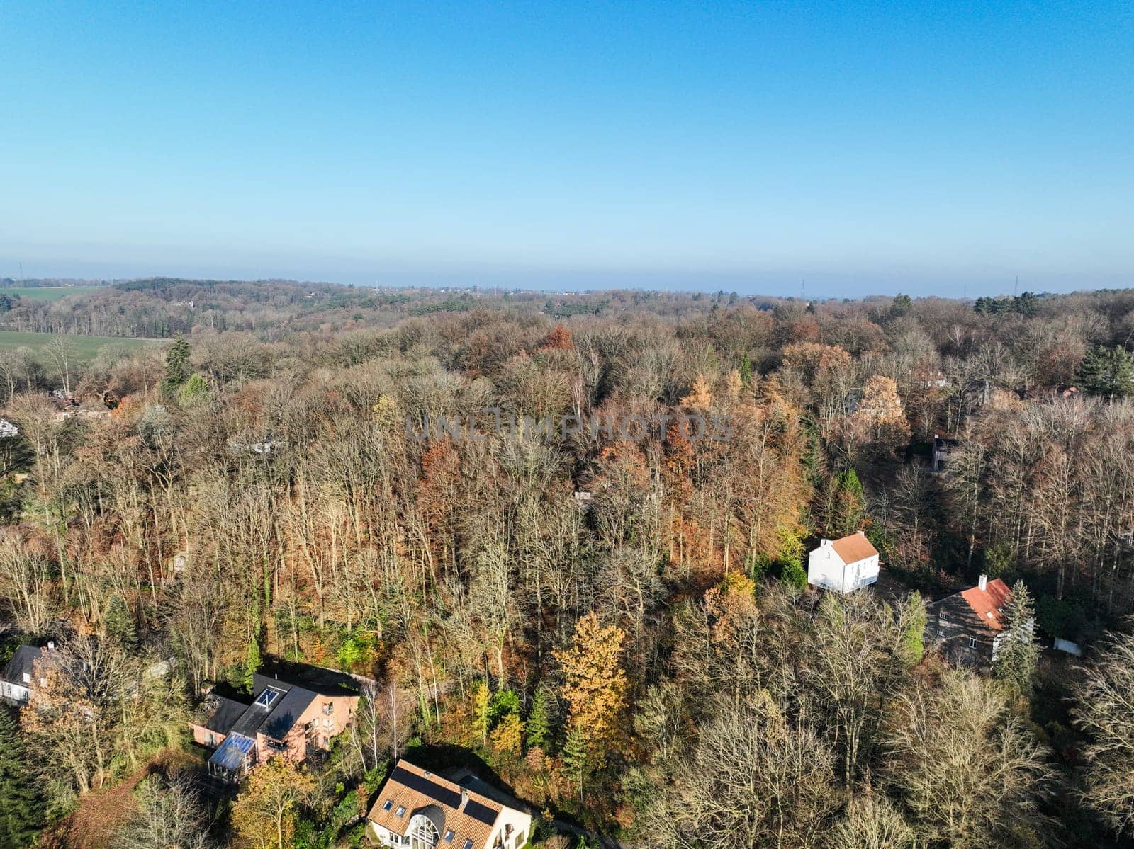 Aerial view of houses surrounded by forest and farmland in the country side area of Walloon, Belgium, Europe