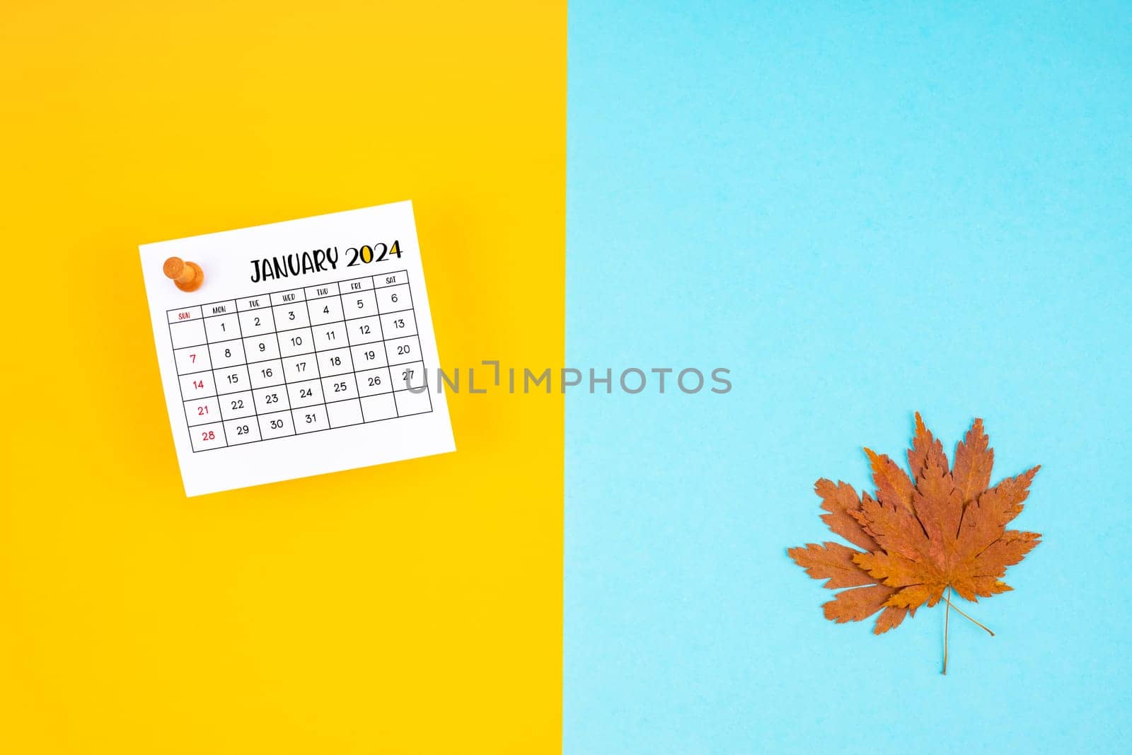 Top view of a January 2024 calendar and autumn foliage on a yellow and blue background. Empty space provided for text or advertising purposes