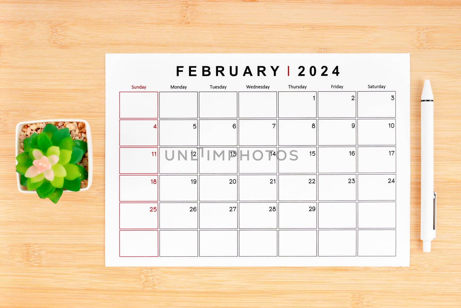February 2024 calendar page and houseplant on wooden background. by Gamjai
