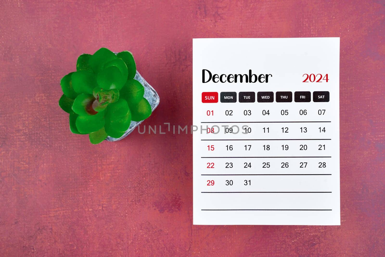 Calendar page for December 2024 and houseplant on retro background, planning concept.